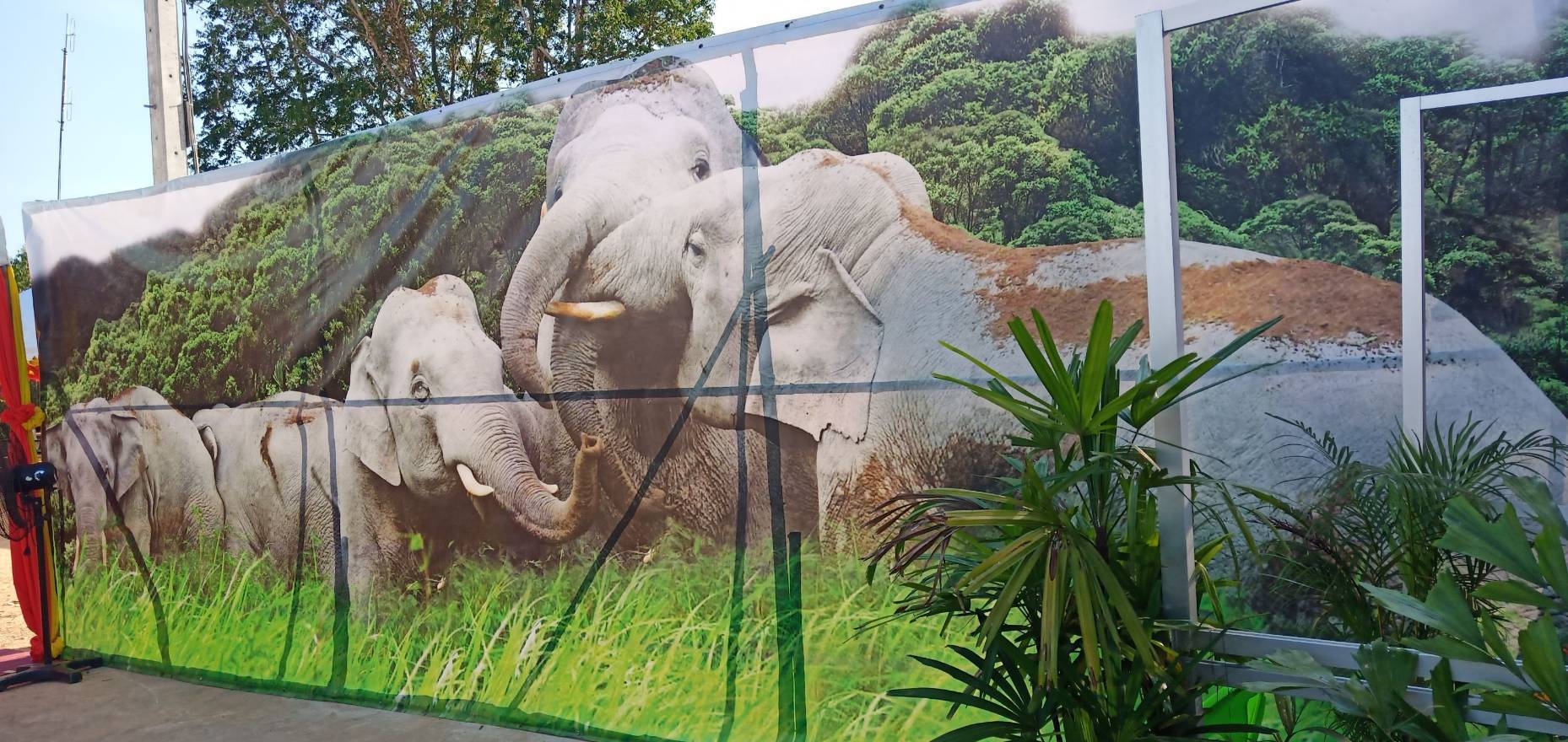 ? “พช.ระยอง” เตรียมความพร้อมการจัดนิทรรศการแสดงผลการดำเนินงานการส่งเสริมอาชีพหมู่บ้านคชานุรักษ์ และหมู่บ้านขยายผล ?