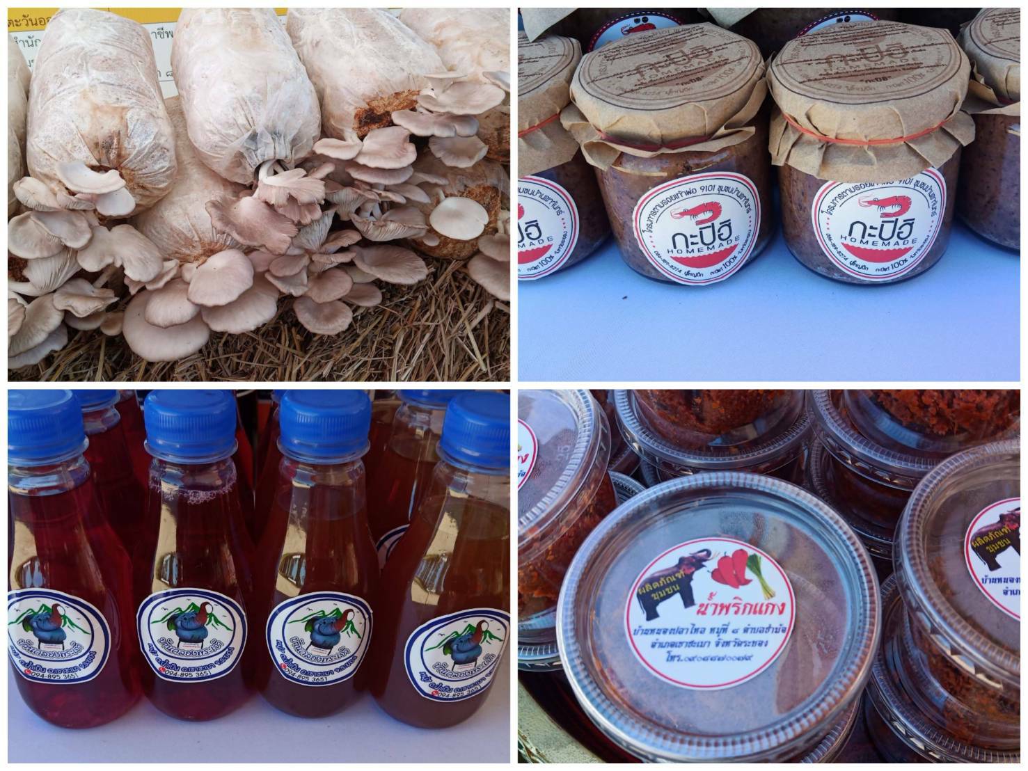 “พช.ระยอง” จัดนิทรรศการแสดงผลการดำเนินงานตาม “โครงการพัชรสุธาคชานุรักษ์”