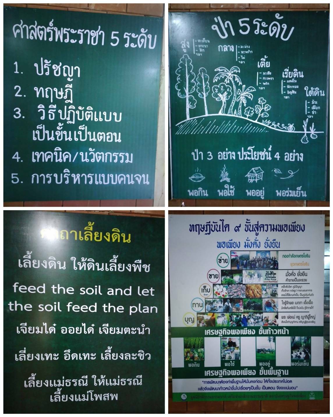 พช.ระยอง เปิดโครงการพัฒนาพื้นที่ต้นแบบการพัฒนาคุณภาพชีวิตตามหลักทฤษฎีใหม่ ประยุกต์สู่ “โคก หนอง นา โมเดล”