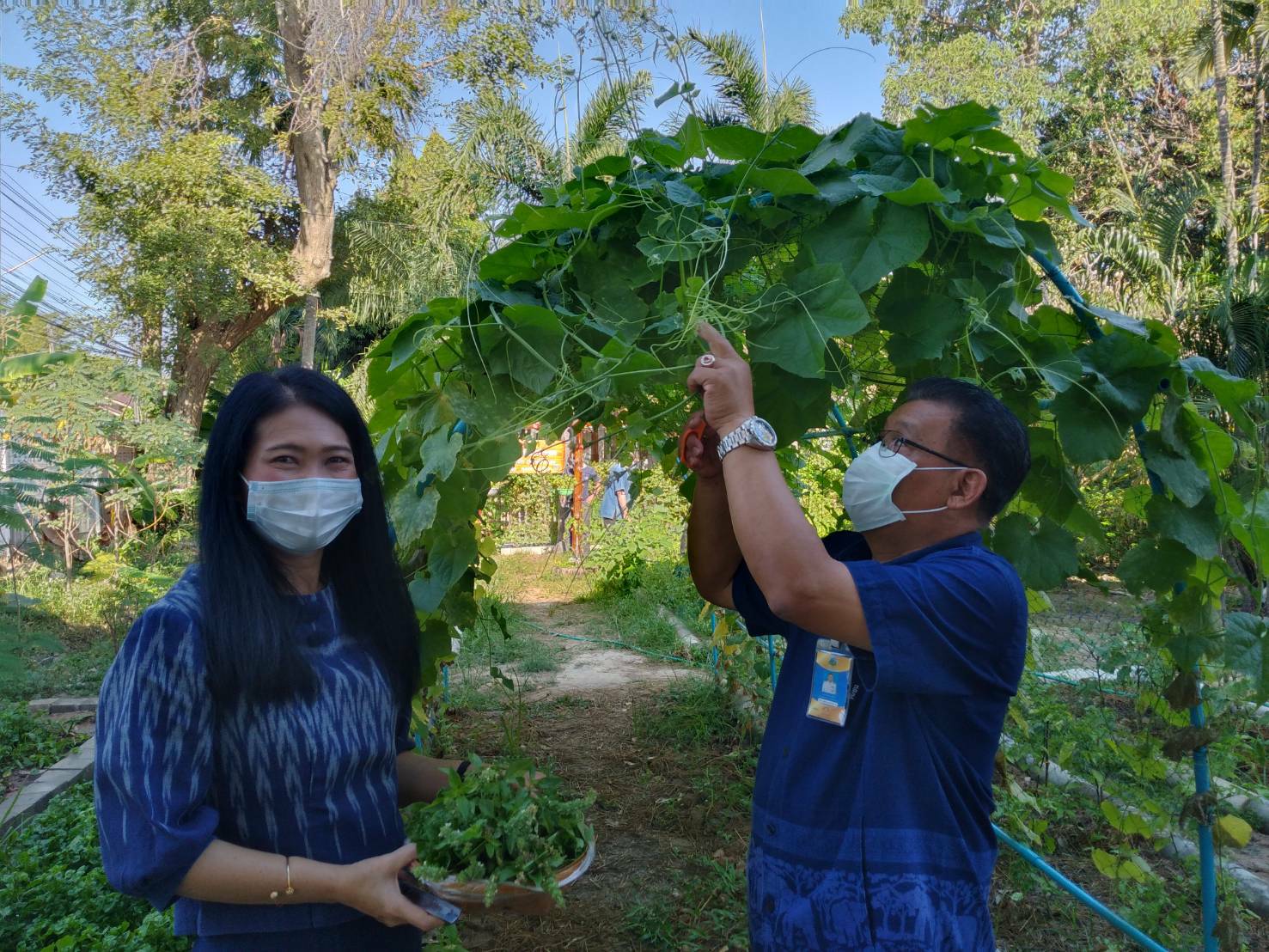 “พช.ระยอง” ปันผัก ปันรัก ปันสุข แทนความห่วงใย ใส่ใจชาวระยอง ในสถานการณ์ COVID-19??