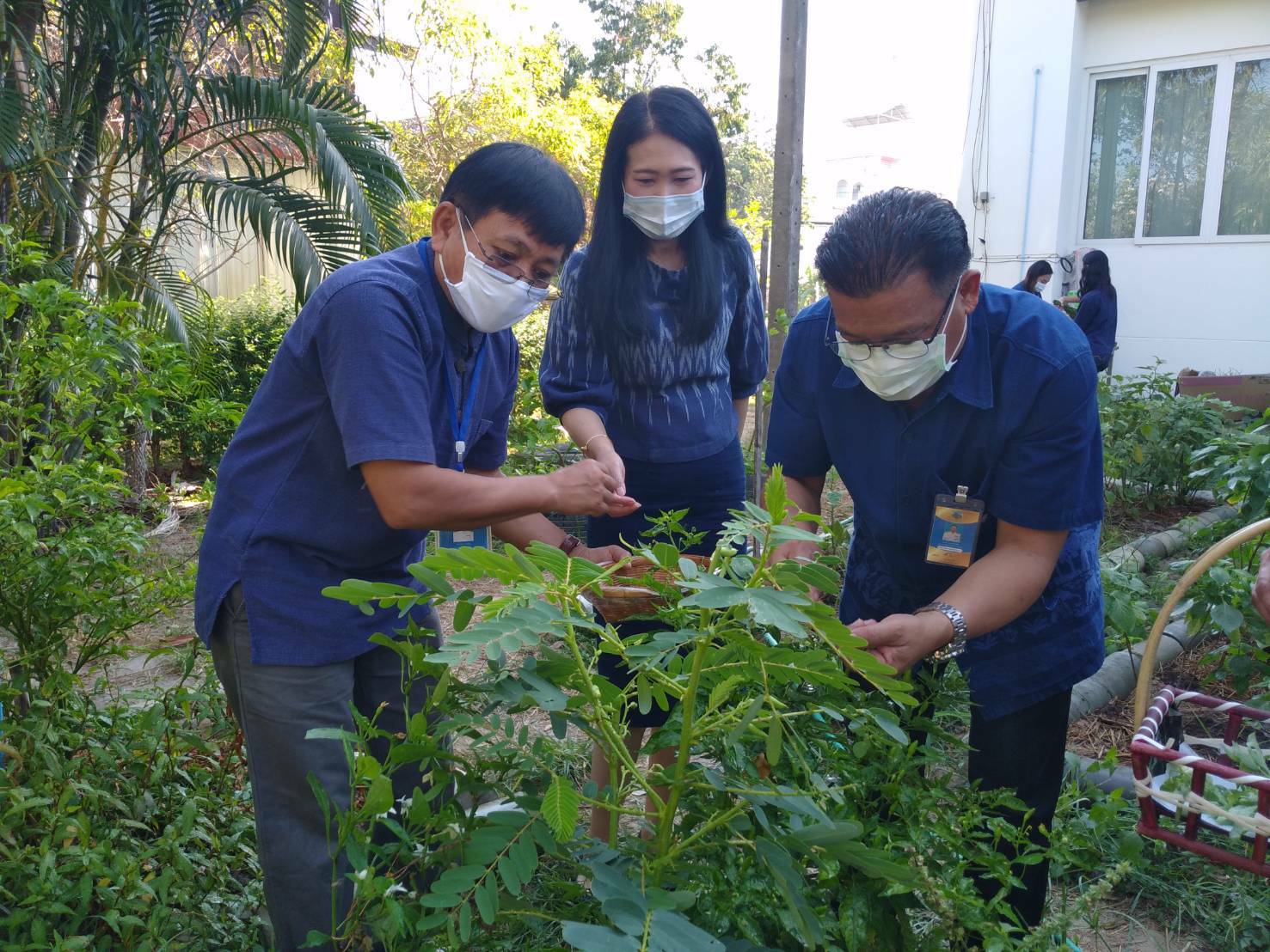 “พช.ระยอง” ปันผัก ปันรัก ปันสุข แทนความห่วงใย ใส่ใจชาวระยอง ในสถานการณ์ COVID-19??