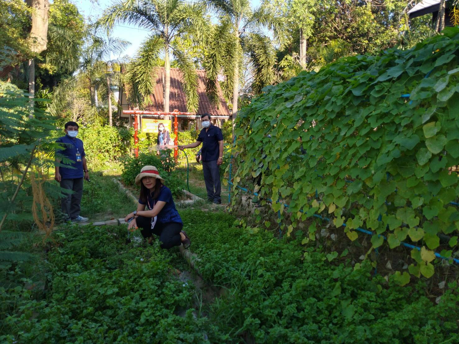 “พช.ระยอง” ปันผัก ปันรัก ปันสุข แทนความห่วงใย ใส่ใจชาวระยอง ในสถานการณ์ COVID-19??