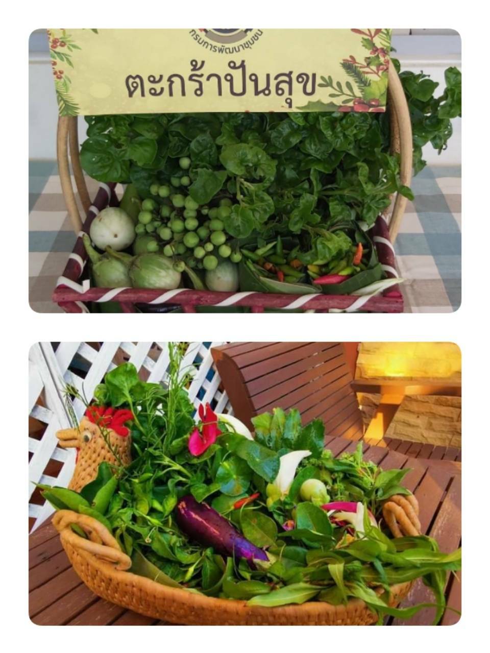 “พช.ระยอง” ปันผัก ปันรัก ปันสุข แทนความห่วงใย ใส่ใจชาวระยอง ในสถานการณ์ COVID-19??