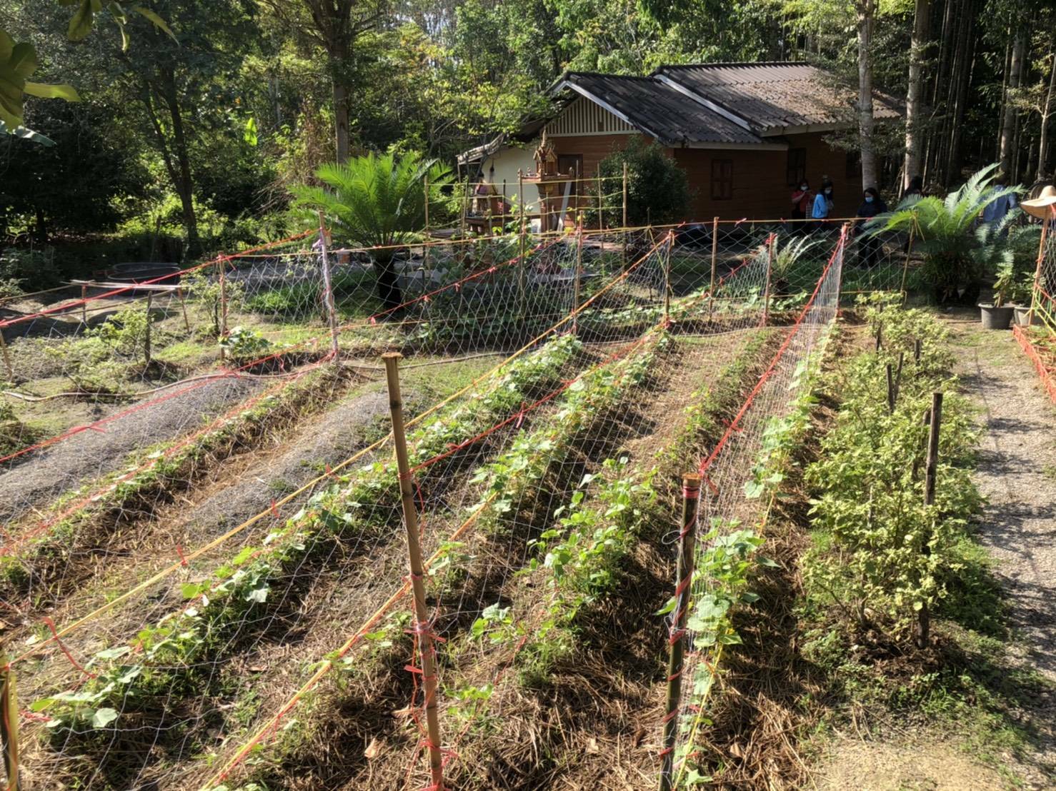 “พช.ระยอง” ร่วมกับเรือนจำกลางระยอง ติดตาม สนับสนุน เสริมกำลังใจแก่ผู้พ้นโทษ ซึ่งผ่านการฝึกอบรมโครงการพระราชทานในพระบาทสมเด็จพระวชิรเกล้าเจ้าอยู่หัว  “โคกหนองนาแห่งน้ำใจและความหวัง กรมราชทัณฑ์” ในพื้นที่อำเภอแกลงและเขาชะเมา?