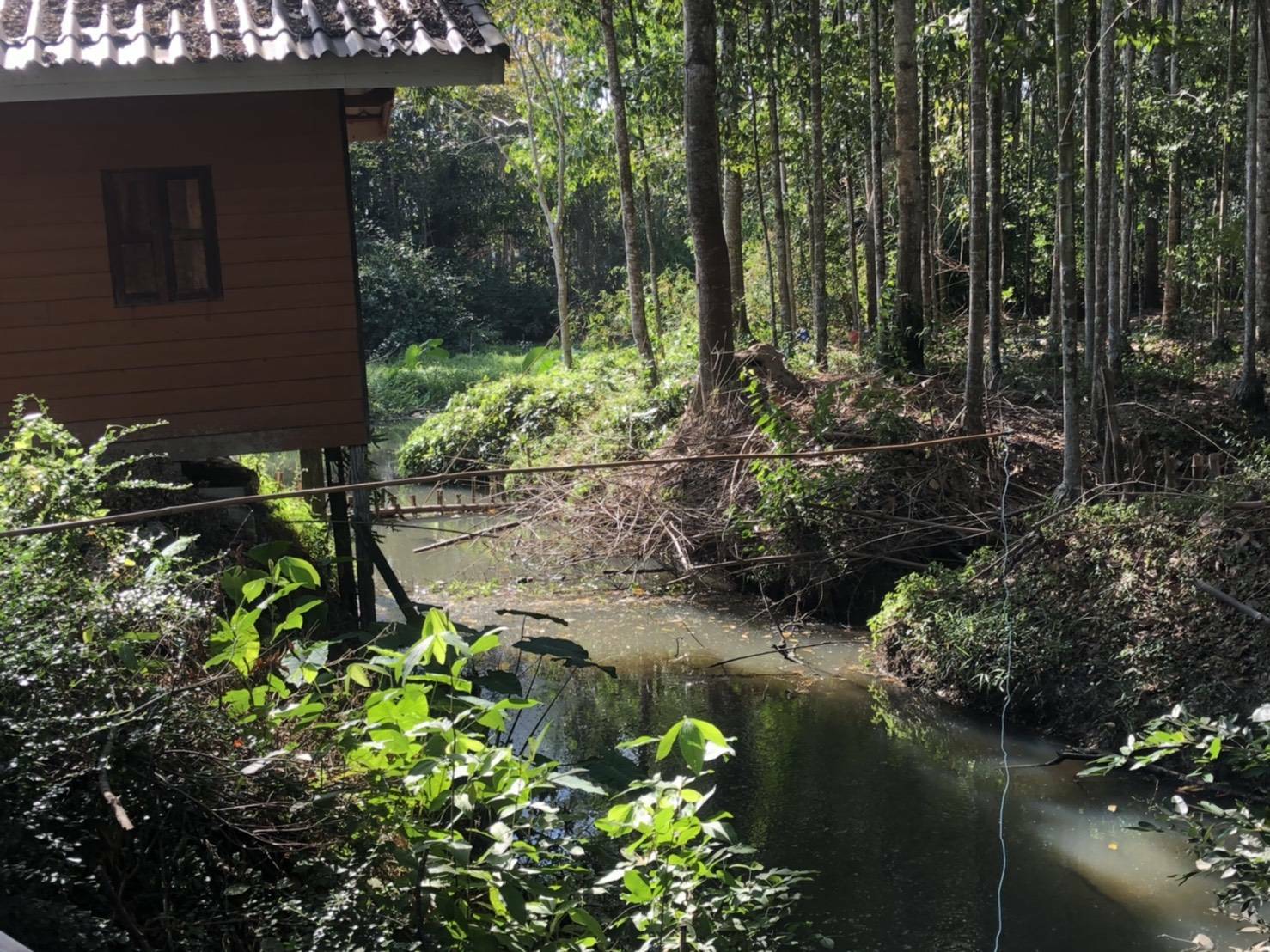 “พช.ระยอง” ร่วมกับเรือนจำกลางระยอง ติดตาม สนับสนุน เสริมกำลังใจแก่ผู้พ้นโทษ ซึ่งผ่านการฝึกอบรมโครงการพระราชทานในพระบาทสมเด็จพระวชิรเกล้าเจ้าอยู่หัว  “โคกหนองนาแห่งน้ำใจและความหวัง กรมราชทัณฑ์” ในพื้นที่อำเภอแกลงและเขาชะเมา?