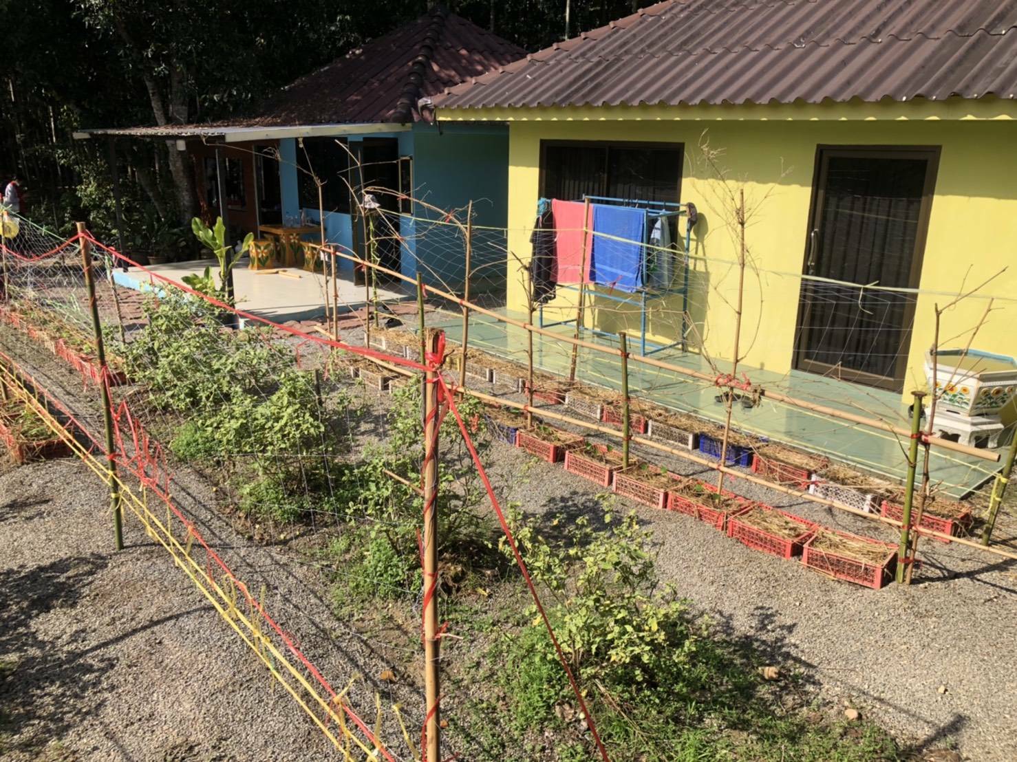 “พช.ระยอง” ร่วมกับเรือนจำกลางระยอง ติดตาม สนับสนุน เสริมกำลังใจแก่ผู้พ้นโทษ ซึ่งผ่านการฝึกอบรมโครงการพระราชทานในพระบาทสมเด็จพระวชิรเกล้าเจ้าอยู่หัว  “โคกหนองนาแห่งน้ำใจและความหวัง กรมราชทัณฑ์” ในพื้นที่อำเภอแกลงและเขาชะเมา?