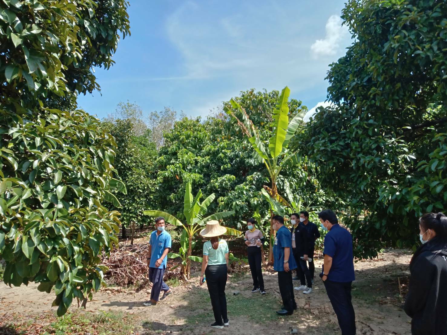 “พช.ระยอง” ร่วมกับเรือนจำกลางระยอง ติดตาม สนับสนุน เสริมกำลังใจแก่ผู้พ้นโทษ ซึ่งผ่านการฝึกอบรมโครงการพระราชทานในพระบาทสมเด็จพระวชิรเกล้าเจ้าอยู่หัว  “โคกหนองนาแห่งน้ำใจและความหวัง กรมราชทัณฑ์” ในพื้นที่อำเภอแกลงและเขาชะเมา?