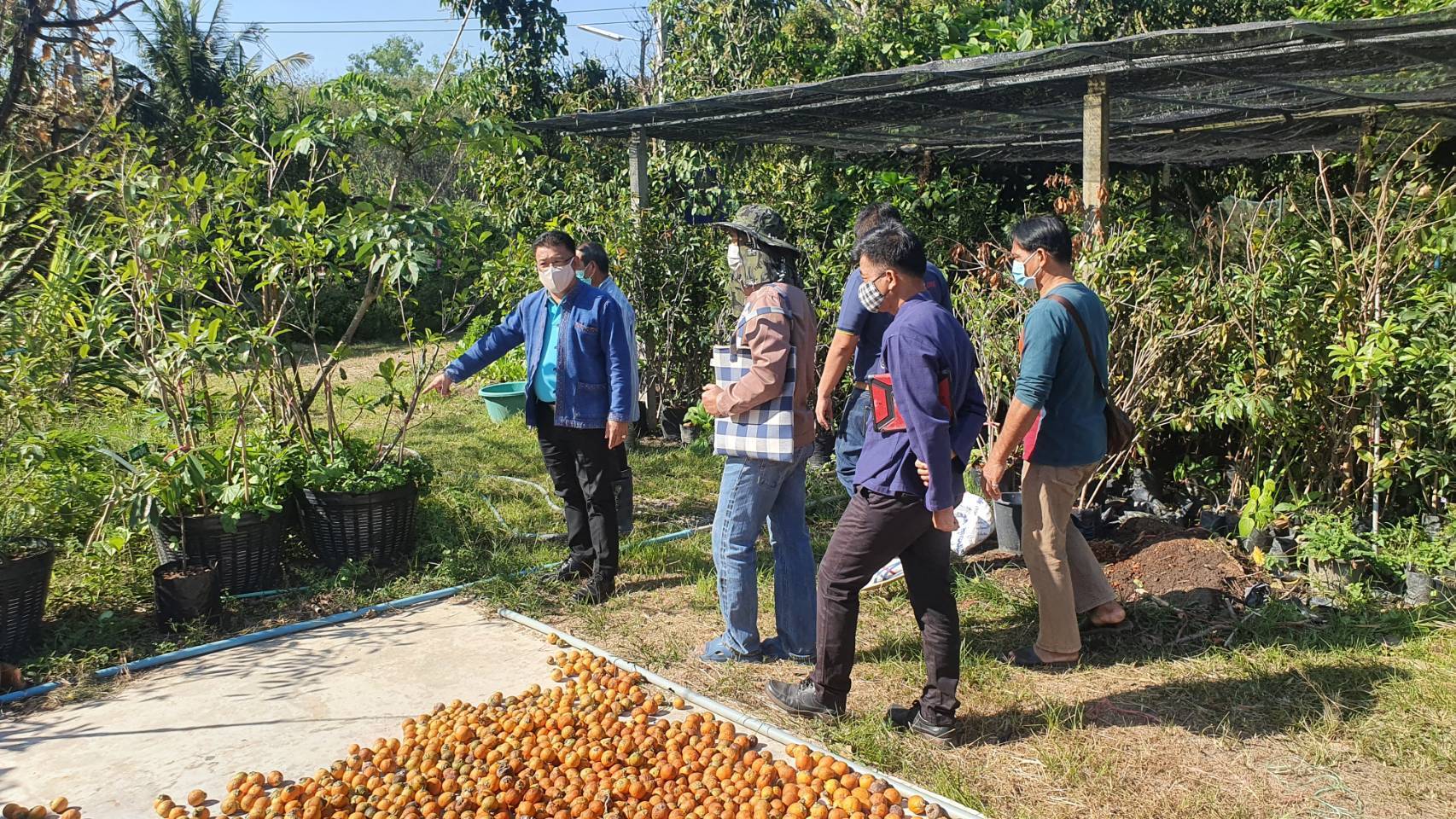 “พช.ระยอง” ติดตาม สนับสนุน ผู้นำครัวเรือนต้นแบบการพัฒนาคุณภาพชีวิต และเยี่ยมเสริมกำลังใจแก่ผู้ซึ่งผ่านการฝึกอบรมโครงการพระราชทานในพระบาทสมเด็จพระวชิรเกล้าเจ้าอยู่หัว “โคกหนองนาแห่งน้ำใจและความหวัง กรมราชทัณฑ์” ?