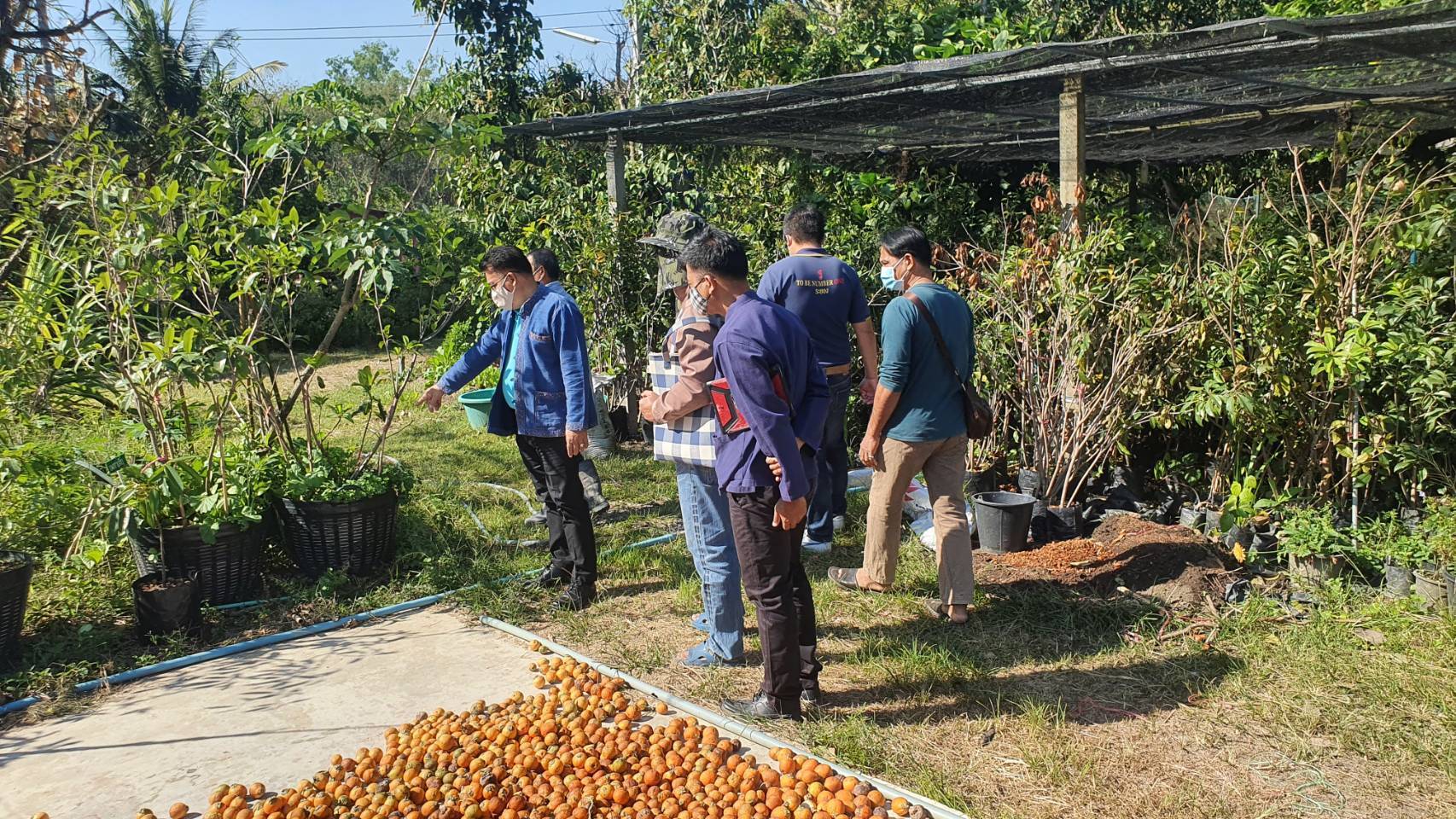 “พช.ระยอง” ติดตาม สนับสนุน ผู้นำครัวเรือนต้นแบบการพัฒนาคุณภาพชีวิต และเยี่ยมเสริมกำลังใจแก่ผู้ซึ่งผ่านการฝึกอบรมโครงการพระราชทานในพระบาทสมเด็จพระวชิรเกล้าเจ้าอยู่หัว “โคกหนองนาแห่งน้ำใจและความหวัง กรมราชทัณฑ์” ?