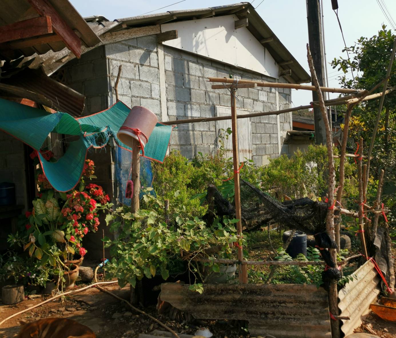 “พช.ระยอง ลงพื้นที่ ติดตาม สนับสนุน เยี่ยมเยือนผู้ผ่านการอบรมโครงการพระราชทานในพระบาทสมเด็จพระวชิรเกล้าเจ้าอยู่หัว โคก หนอง นา แห่งน้ำใจและความหวัง” ?   ??Change for Good?