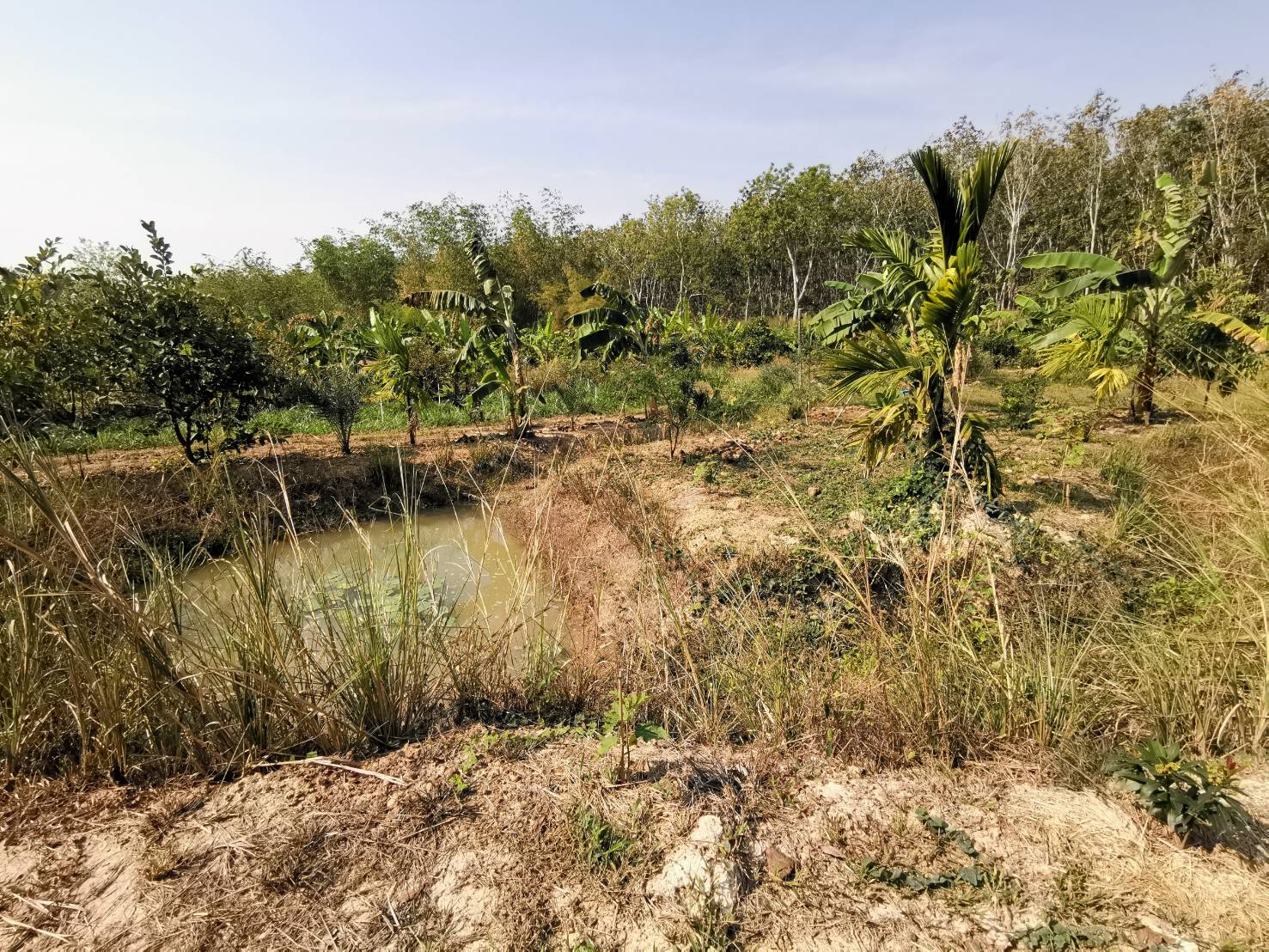 “พช.ระยอง ลงพื้นที่ ติดตาม สนับสนุน เยี่ยมเยือนครัวเรือนต้นแบบการพัฒนาคุณภาพชีวิต (Household Lab Model for quality of life: HLM) ระดับครัวเรือน” ?   ??Change for Good?