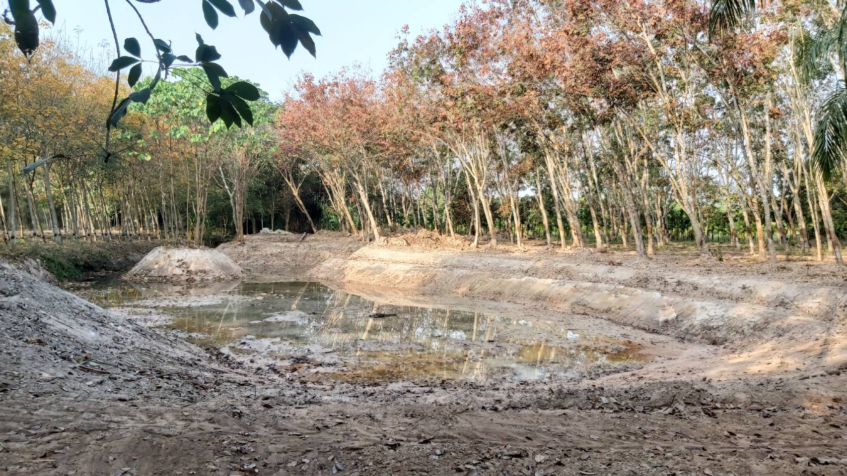 “พช.ระยอง” ลงนามความร่วมมือพื้นที่การพัฒนาคุณภาพชีวิต : พพช. สานต่อศาสตร์พระราชา พัฒนาชุมชนสู่ความยั่งยืน