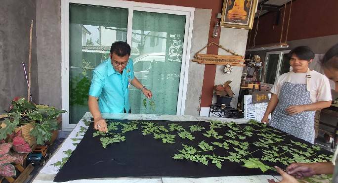 ประธานแม่บ้านมหาดไทยระยอง เยี่ยมชมกิจกรรมผู้ผลิตผ้าย้อมโคลนทะเล กลุ่ม “ลีลาฝ้าย” อำเภอบ้านฉาง จังหวัดระยอง