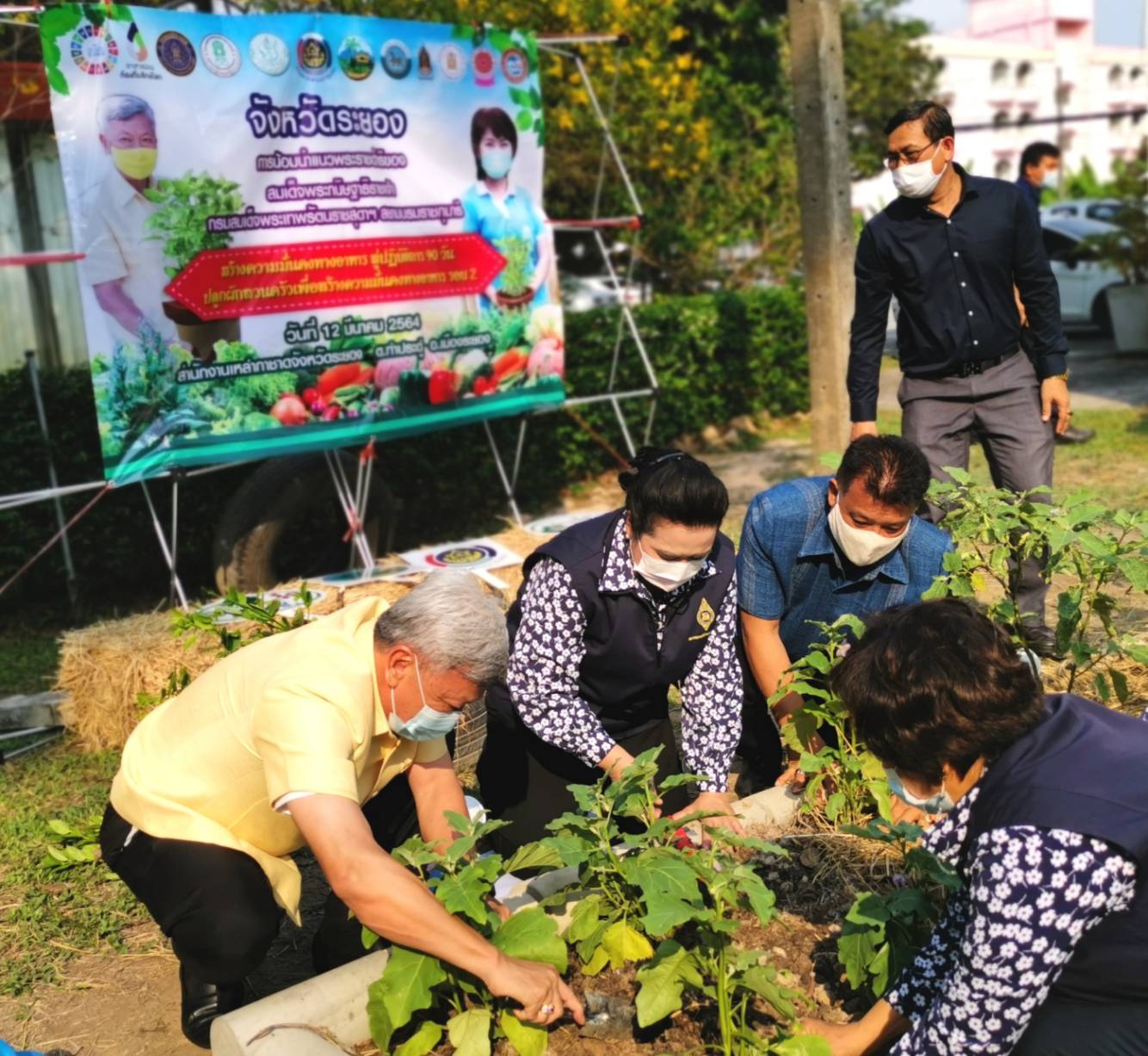 “พช.ระยอง” จับมือชมรมแม่บ้านมหาดไทยจังหวัดระยอง ขับเคลื่อนนโยบาย “ที่ว่างสร้างอาหาร” ตามแนวหลักปรัชญาของเศรษฐกิจพอเพียง สู่ปฏิบัติการ ๙๐ วัน ปลูกผักสวนครัว สร้างความมั่นคงทางอาหาร “บ้านนี้มีรัก ปลูกผักกินเอง” แม่บ้านมหาดไทยจังหวัดระยอง”