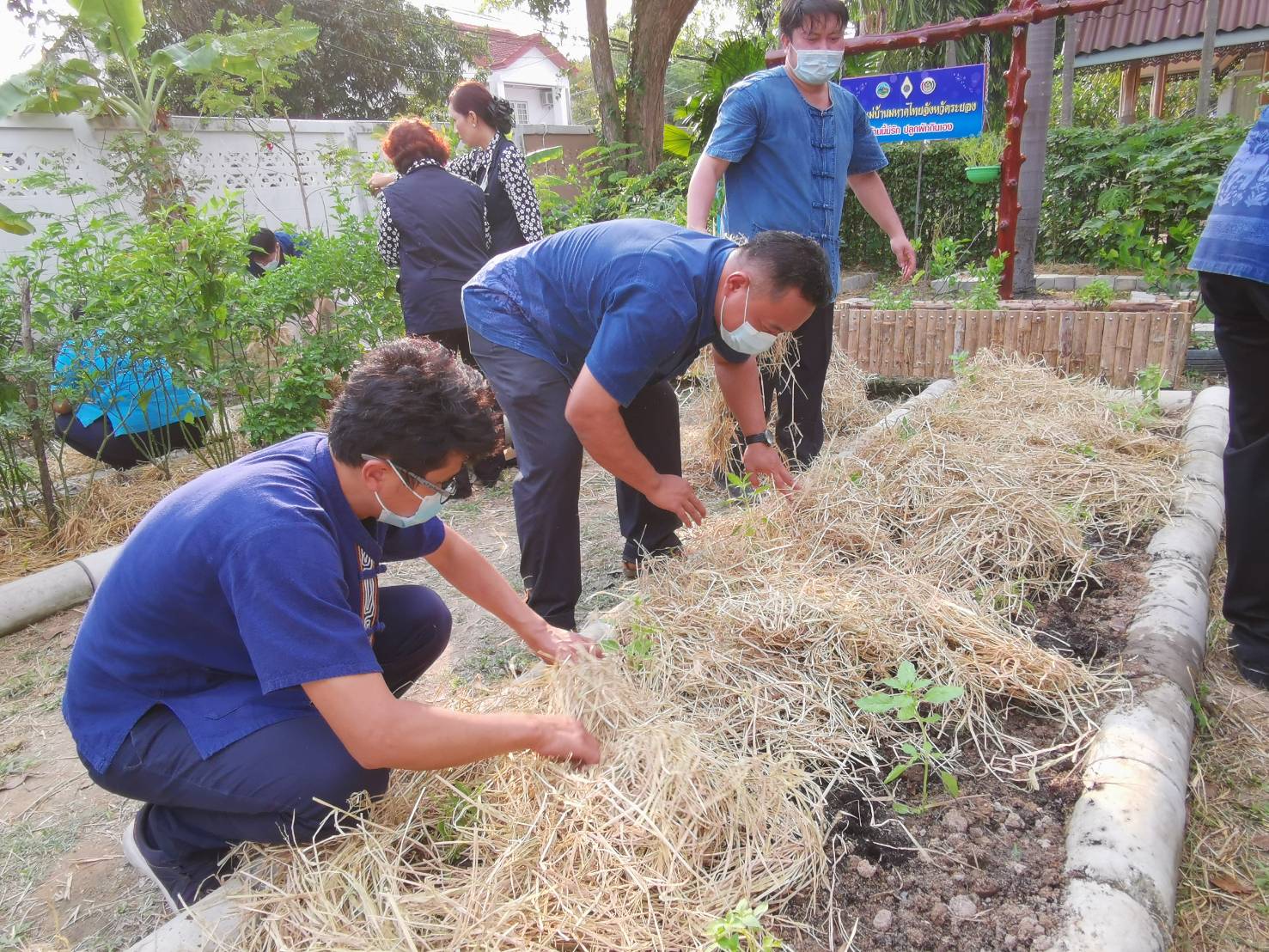 “พช.ระยอง” จับมือชมรมแม่บ้านมหาดไทยจังหวัดระยอง ขับเคลื่อนนโยบาย “ที่ว่างสร้างอาหาร” ตามแนวหลักปรัชญาของเศรษฐกิจพอเพียง สู่ปฏิบัติการ ๙๐ วัน ปลูกผักสวนครัว สร้างความมั่นคงทางอาหาร “บ้านนี้มีรัก ปลูกผักกินเอง” แม่บ้านมหาดไทยจังหวัดระยอง”