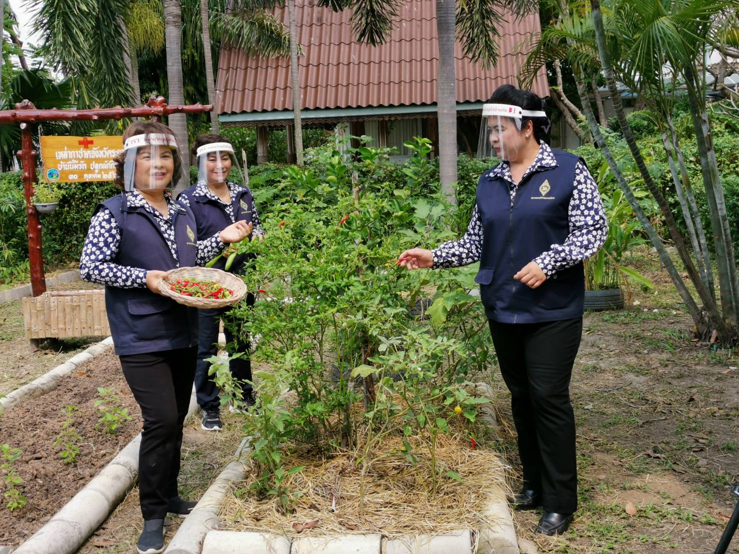 “พช.ระยอง” จับมือชมรมแม่บ้านมหาดไทยจังหวัดระยอง ขับเคลื่อนนโยบาย “ที่ว่างสร้างอาหาร” ตามแนวหลักปรัชญาของเศรษฐกิจพอเพียง สู่ปฏิบัติการ ๙๐ วัน ปลูกผักสวนครัว สร้างความมั่นคงทางอาหาร “บ้านนี้มีรัก ปลูกผักกินเอง” แม่บ้านมหาดไทยจังหวัดระยอง”