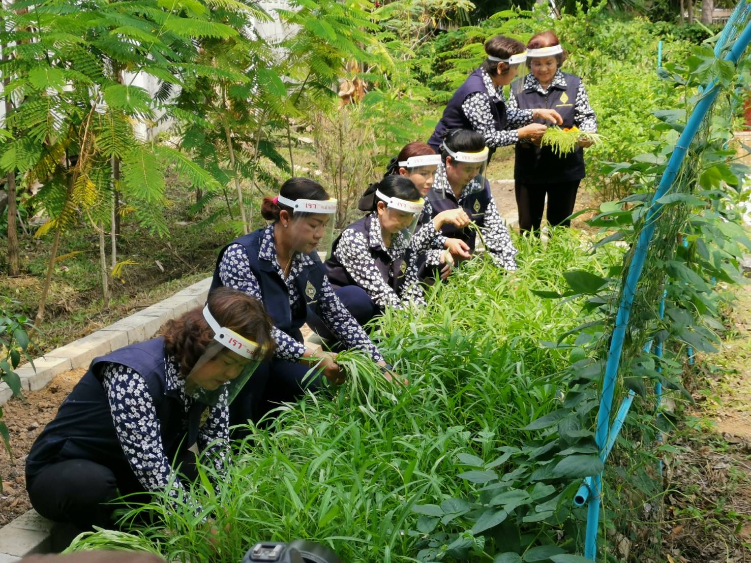 “พช.ระยอง” จับมือชมรมแม่บ้านมหาดไทยจังหวัดระยอง ขับเคลื่อนนโยบาย “ที่ว่างสร้างอาหาร” ตามแนวหลักปรัชญาของเศรษฐกิจพอเพียง สู่ปฏิบัติการ ๙๐ วัน ปลูกผักสวนครัว สร้างความมั่นคงทางอาหาร “บ้านนี้มีรัก ปลูกผักกินเอง” แม่บ้านมหาดไทยจังหวัดระยอง”