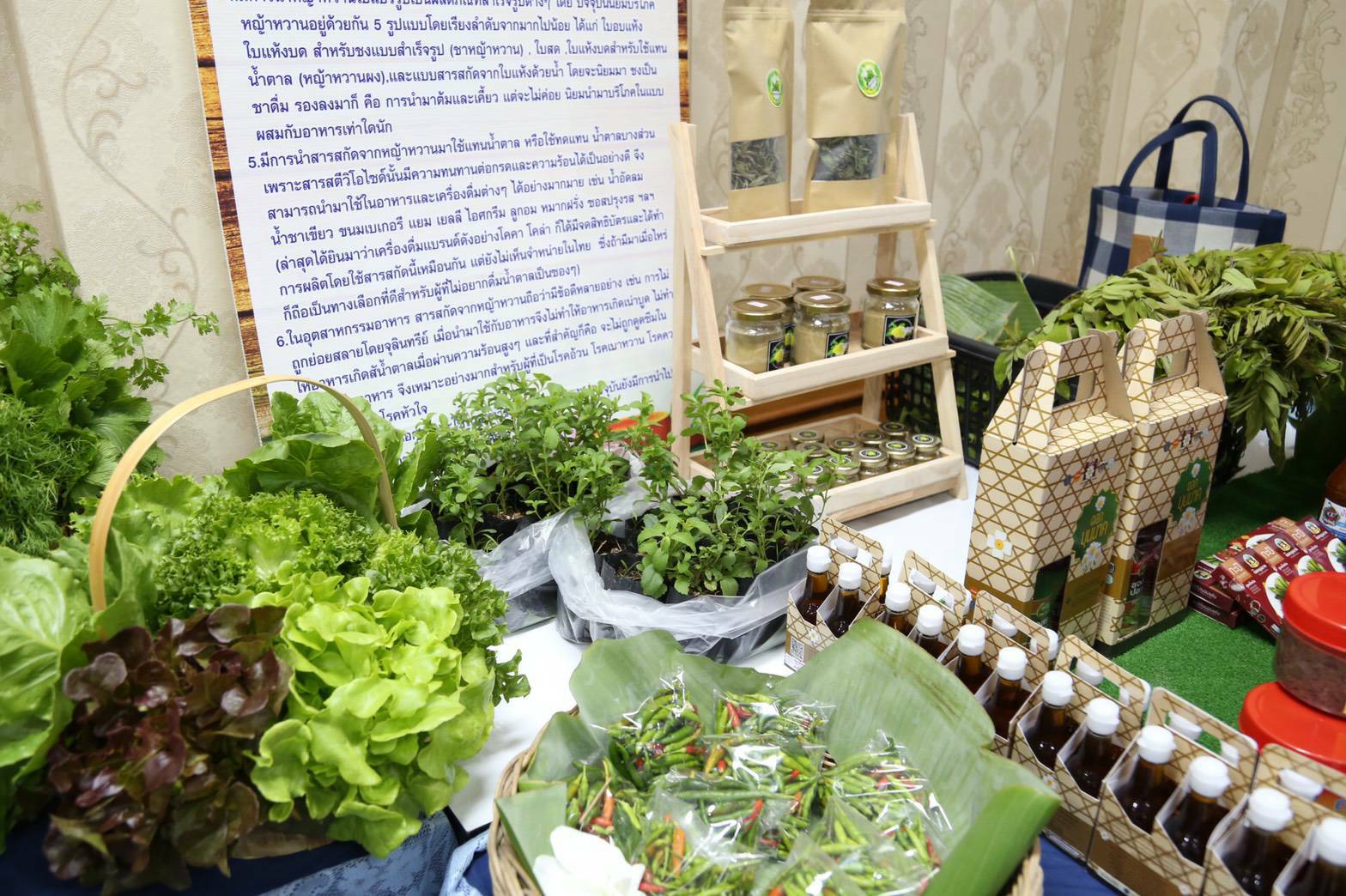 พช.ระยอง “เสริมพลังสตรีและเด็กหญิงสู่ความเสมอภาค ร่วมตัดสินใจ ไร้ความรุนแรง” เนื่องในวันสตรีสากล 8 มีนาคม 2564