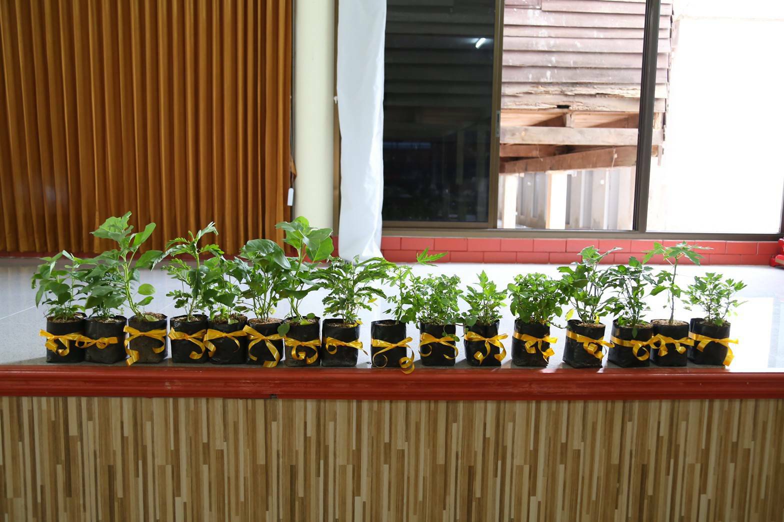 “พช.ระยอง” เสริมพลังสตรีแกลง “ทำความดีด้วยหัวใจ” เนื่องในวันสตรีสากล 2564