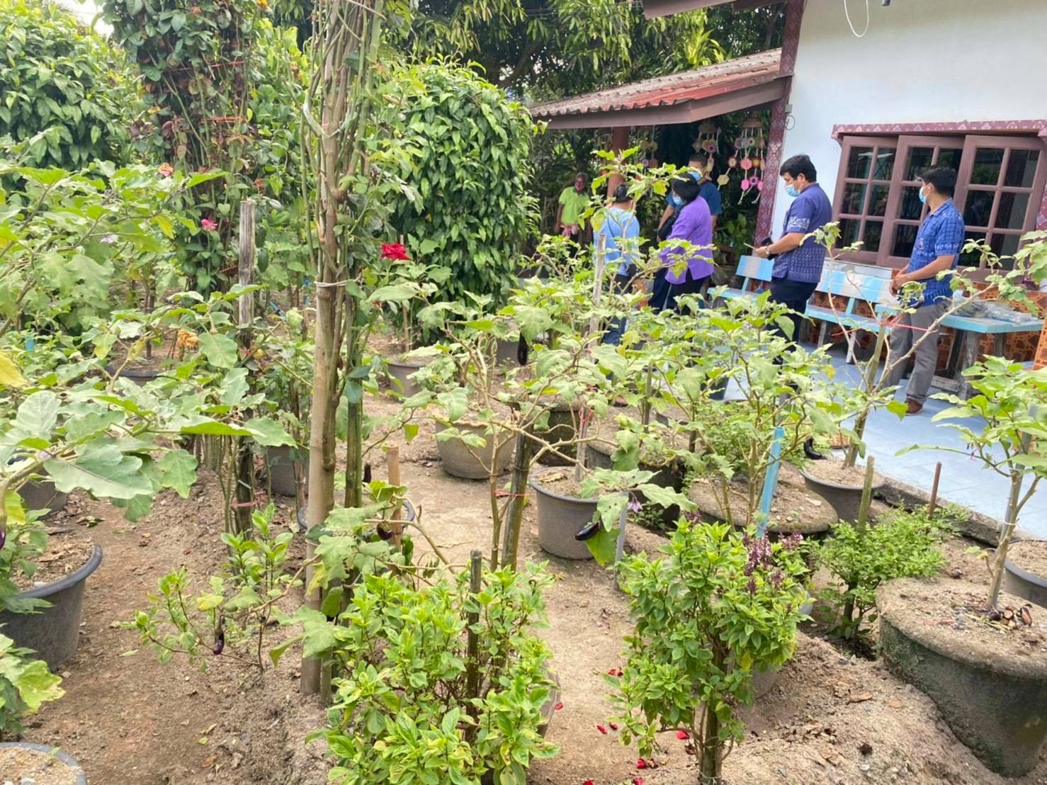 “พช.ระยอง” คัดเลือกบุคคลต้นแบบและเชิดชูเกียรติ การขับเคลื่อนการน้อมนำแนวพระราชดำริของสมเด็จพระกนิษฐาธิราชเจ้า กรมสมเด็จพระเทพรัตนราชสุดาฯ สยามบรมราชกุมารี สร้างความมั่นคงทางอาหาร สู่ปฏิบัติการ 90 วัน ปลูกผักสวนครัวเพื่อสร้างความมั่นคงทางอาหาร รอบ 2 จังหวัดระยอง