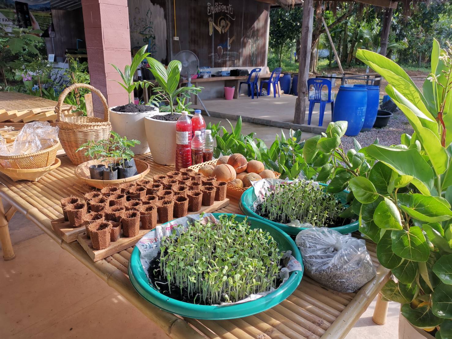 “พช.ระยอง” ร่วมให้กำลังใจและสนับสนุนผู้นำการเปลี่ยนแปลงตำบลห้วยยาง อำเภอแกลง ที่เข้าประกวดผู้นำการเปลี่ยนแปลงดีเด่น ระดับเขตตรวจราชการที่ 8 (กลุ่มจังหวัดภาคตะวันออก 1) ผ่านระบบ ZOOM”