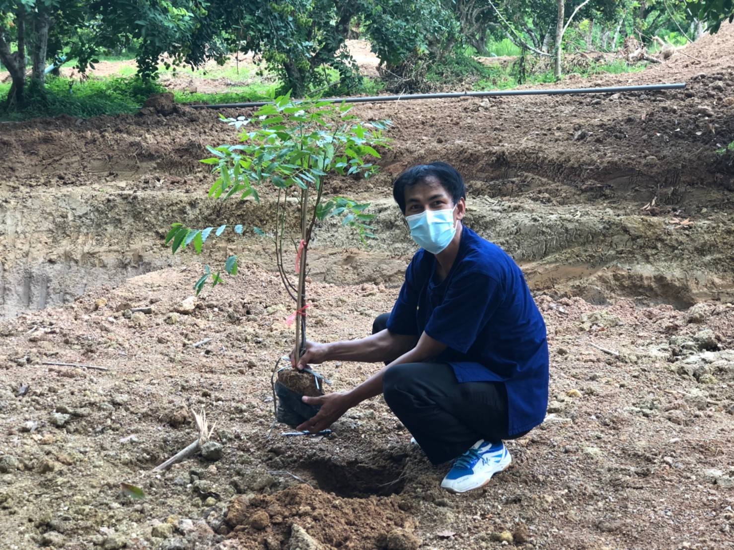 “พช.ระยอง” ร่วมกิจกรรมเอามื้อสามัคคี ในการพัฒนาพื้นที่เป็นแหล่งเรียนรู้ “โคก หนอง นา” ในแปลงของครัวเรือน “โคก หนอง นา โมเดล” ตำบลห้วยยาง อำเภอแกลง ตามโครงการขับเคลื่อนกิจกรรมพัฒนาวิถีชีวิตเศรษฐกิจพอเพียงระดับหมู่บ้าน ”