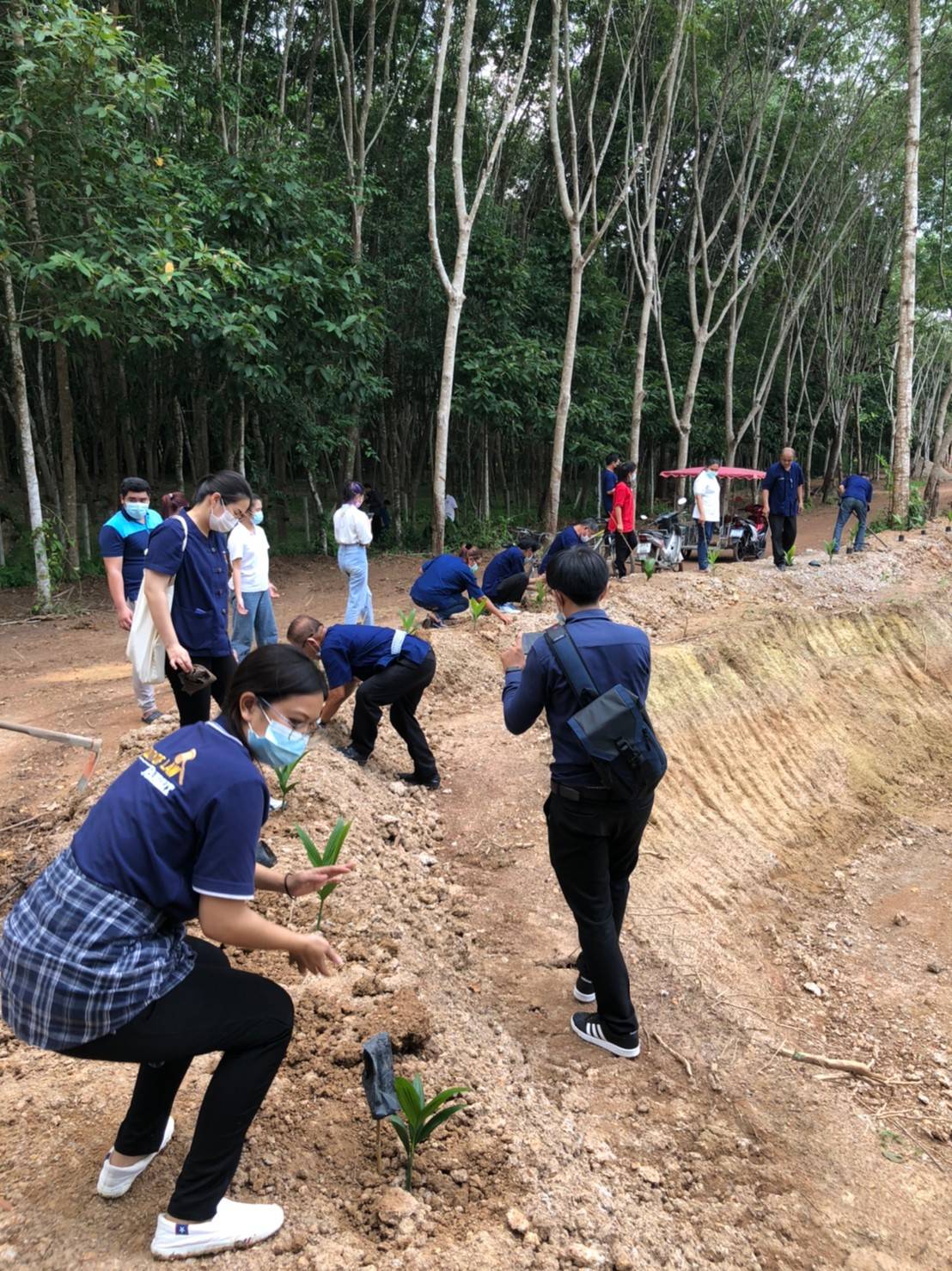 “พช.ระยอง” ร่วมกิจกรรมเอามื้อสามัคคี ในการพัฒนาพื้นที่เป็นแหล่งเรียนรู้ “โคก หนอง นา” ในแปลงของครัวเรือน “โคก หนอง นา โมเดล” ตำบลห้วยยาง อำเภอแกลง ตามโครงการขับเคลื่อนกิจกรรมพัฒนาวิถีชีวิตเศรษฐกิจพอเพียงระดับหมู่บ้าน ”