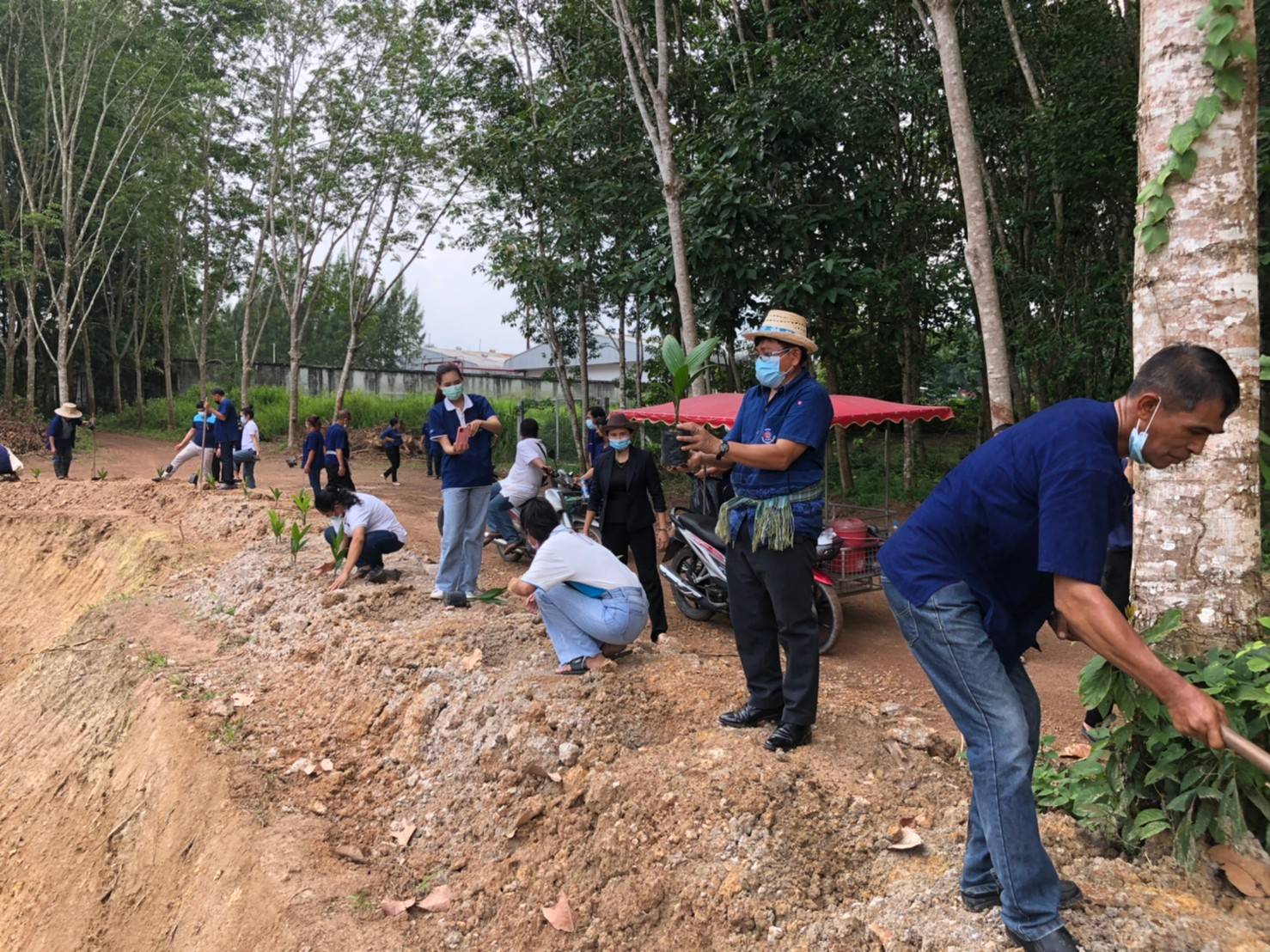 “พช.ระยอง” ร่วมกิจกรรมเอามื้อสามัคคี ในการพัฒนาพื้นที่เป็นแหล่งเรียนรู้ “โคก หนอง นา” ในแปลงของครัวเรือน “โคก หนอง นา โมเดล” ตำบลห้วยยาง อำเภอแกลง ตามโครงการขับเคลื่อนกิจกรรมพัฒนาวิถีชีวิตเศรษฐกิจพอเพียงระดับหมู่บ้าน ”