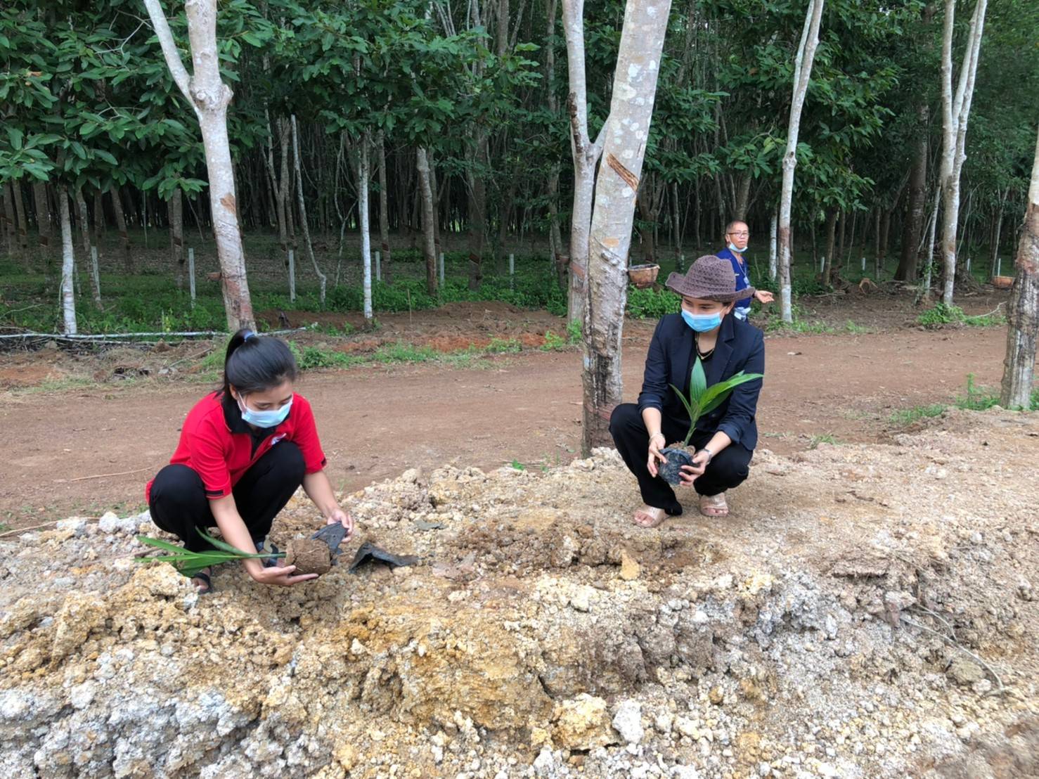 “พช.ระยอง” ร่วมกิจกรรมเอามื้อสามัคคี ในการพัฒนาพื้นที่เป็นแหล่งเรียนรู้ “โคก หนอง นา” ในแปลงของครัวเรือน “โคก หนอง นา โมเดล” ตำบลห้วยยาง อำเภอแกลง ตามโครงการขับเคลื่อนกิจกรรมพัฒนาวิถีชีวิตเศรษฐกิจพอเพียงระดับหมู่บ้าน ”