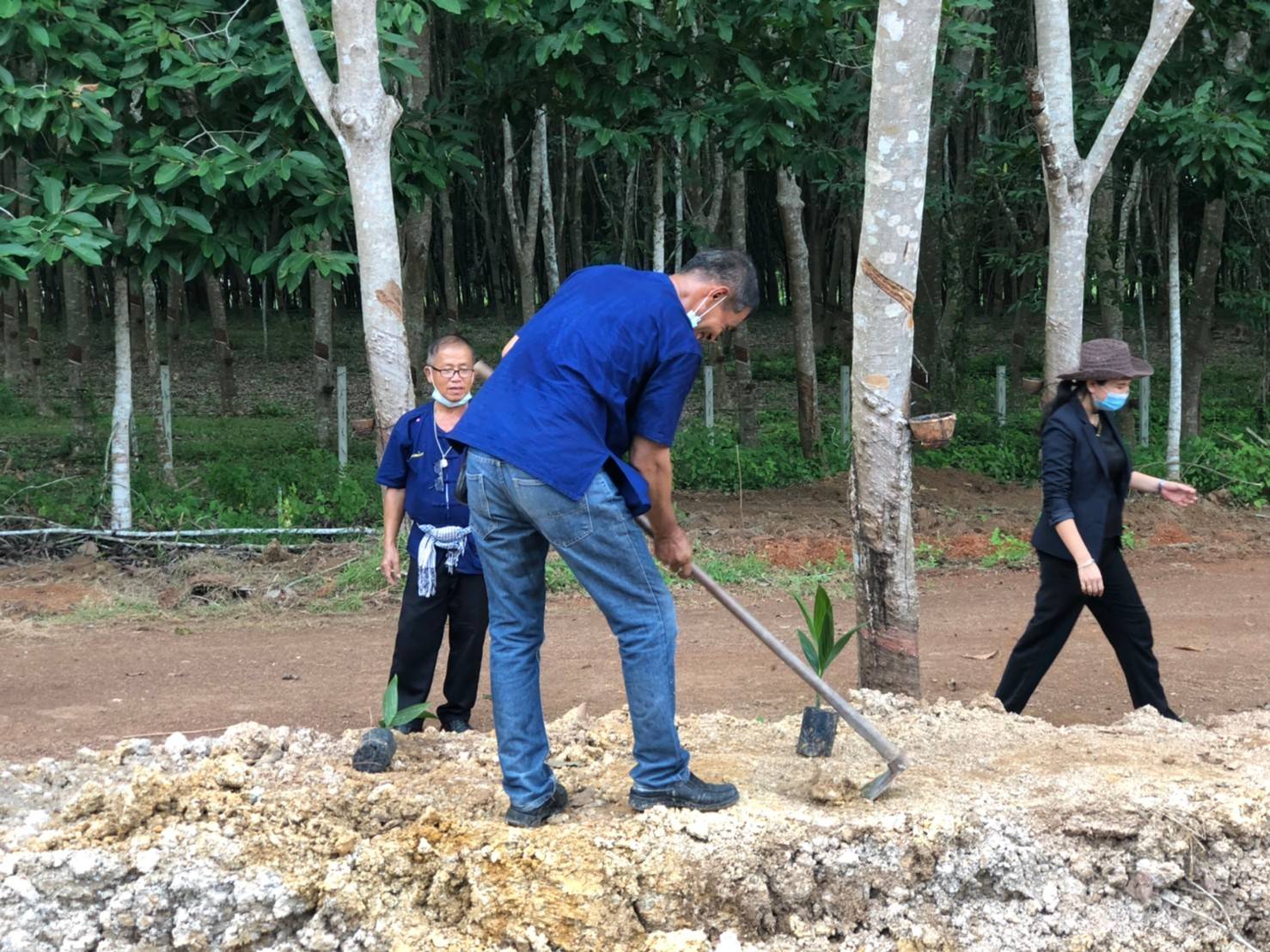 “พช.ระยอง” ร่วมกิจกรรมเอามื้อสามัคคี ในการพัฒนาพื้นที่เป็นแหล่งเรียนรู้ “โคก หนอง นา” ในแปลงของครัวเรือน “โคก หนอง นา โมเดล” ตำบลห้วยยาง อำเภอแกลง ตามโครงการขับเคลื่อนกิจกรรมพัฒนาวิถีชีวิตเศรษฐกิจพอเพียงระดับหมู่บ้าน ”