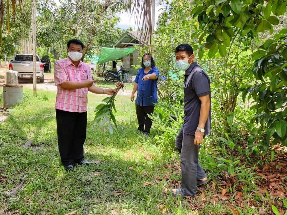 “พช.ระยอง” ติดตาม สนับสนุนการขับเคลื่อน”โครงการพัฒนาพื้นที่ต้นแบบทฤษฎีใหม่ประยุกต์สู่ โคก หนอง นา พช.