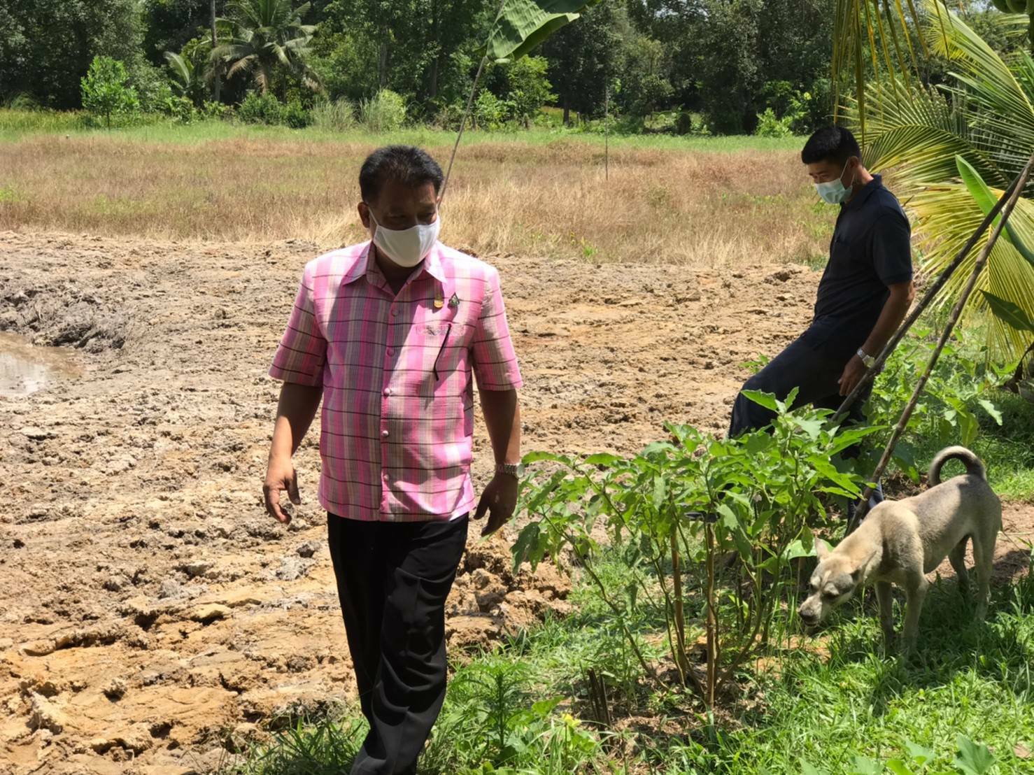 “พช.ระยอง” ติดตาม สนับสนุนการขับเคลื่อน”โครงการพัฒนาพื้นที่ต้นแบบทฤษฎีใหม่ประยุกต์สู่ โคก หนอง นา พช.