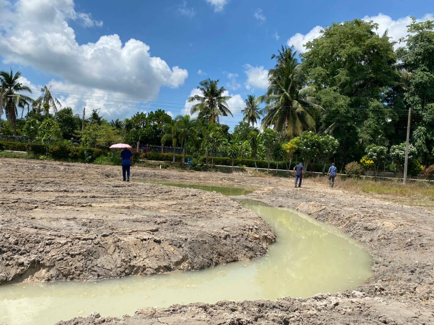 “พช.ระยอง” ติดตาม สนับสนุนการขับเคลื่อน”โครงการพัฒนาพื้นที่ต้นแบบทฤษฎีใหม่ประยุกต์สู่ โคก หนอง นา พช.