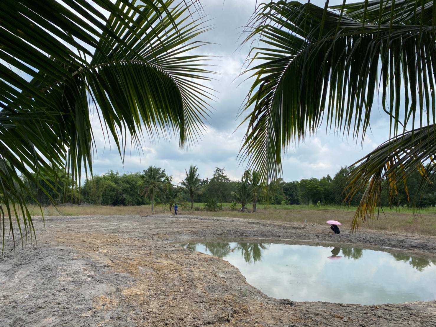 “พช.ระยอง” ติดตาม สนับสนุนการขับเคลื่อน”โครงการพัฒนาพื้นที่ต้นแบบทฤษฎีใหม่ประยุกต์สู่ โคก หนอง นา พช.