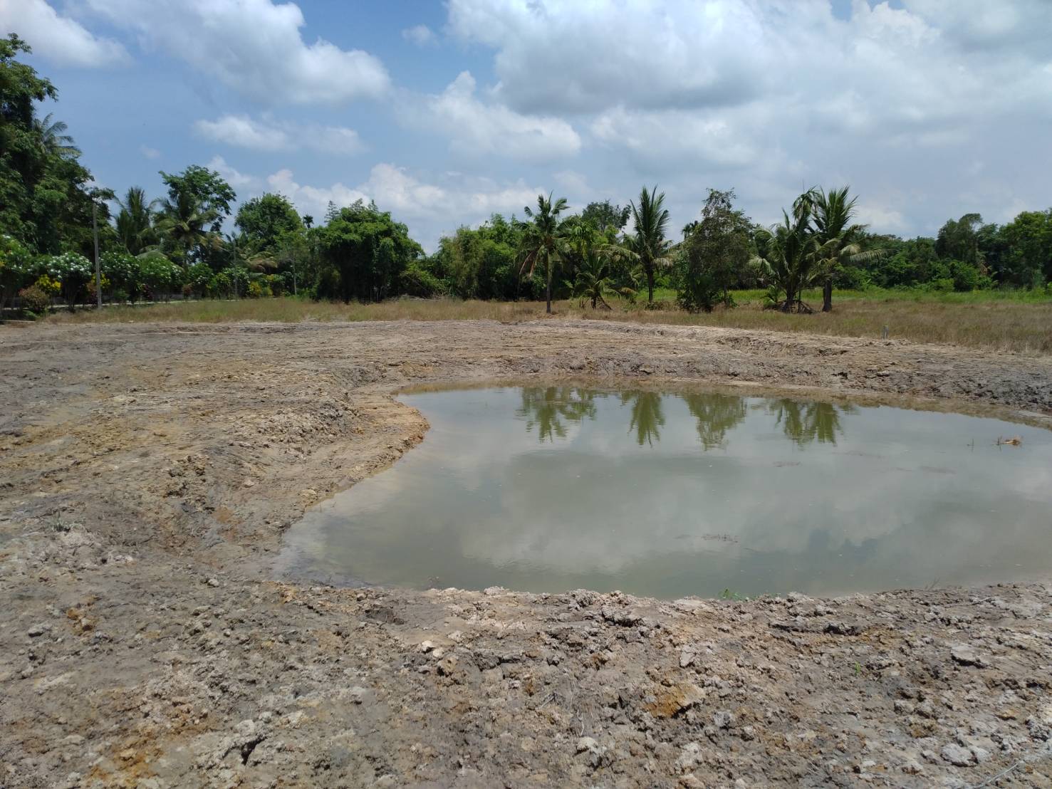 “พช.ระยอง” ติดตาม สนับสนุนการขับเคลื่อน”โครงการพัฒนาพื้นที่ต้นแบบทฤษฎีใหม่ประยุกต์สู่ โคก หนอง นา พช.