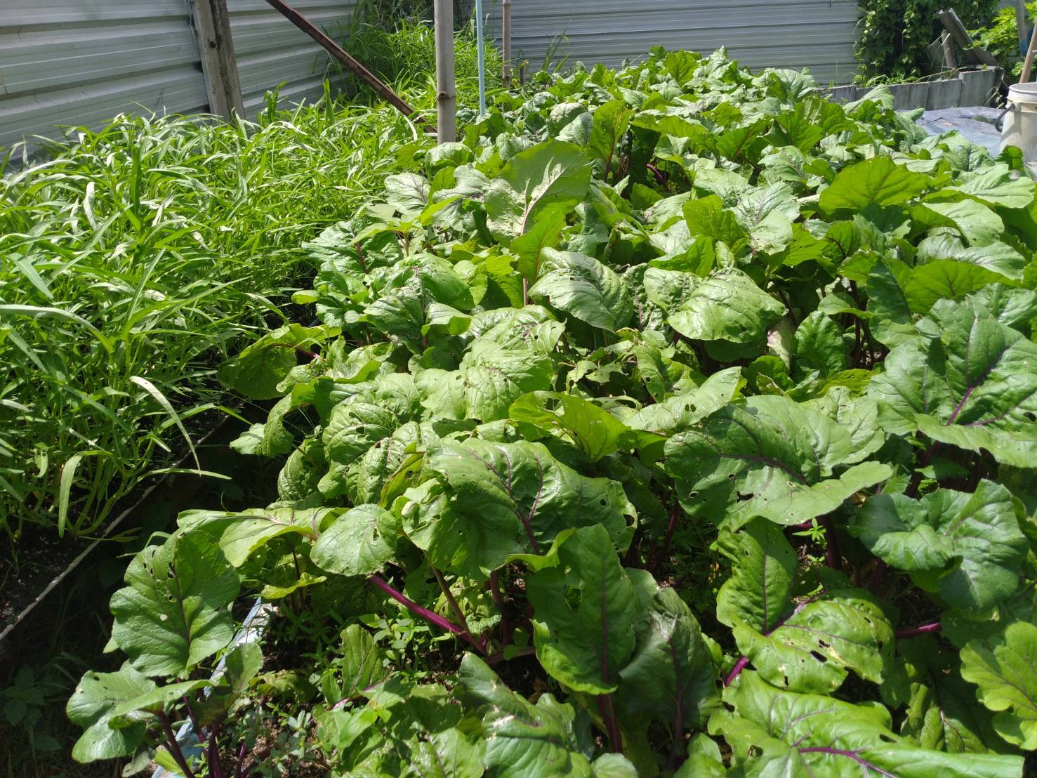 “พช.ระยอง” ขับเคลื่อนกิจกรรมการคัดสรรหมู่บ้านเศรษฐกิจพอเพียง “อยู่เย็น เป็นสุข” ดีเด่นระดับจังหวัด และกิจกรรมพัฒนาชุมชนดีเด่น ระดับจังหวัดประจำปี 2564