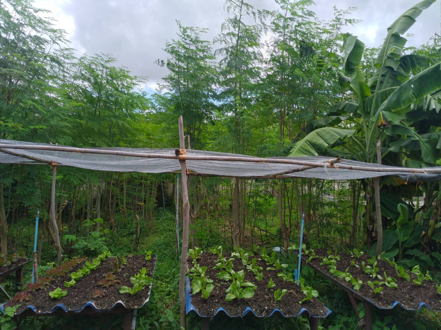 “พช.ระยอง” ขับเคลื่อนกิจกรรมการคัดสรรหมู่บ้านเศรษฐกิจพอเพียง “อยู่เย็น เป็นสุข” ดีเด่นระดับจังหวัด และกิจกรรมพัฒนาชุมชนดีเด่น ระดับจังหวัดประจำปี 2564