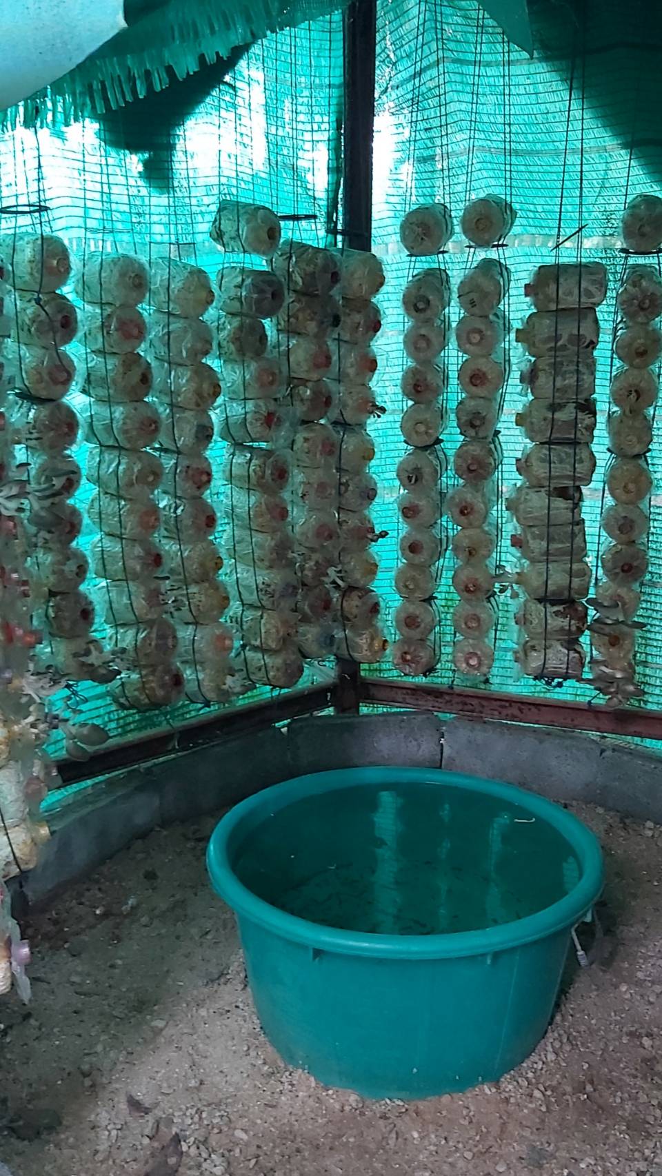 “พช.ระยอง” ติดตามสนับสนุนการพัฒนาผลิตภัณฑ์ OTOP โดยเครือข่ายองค์ความรู้ KBO จังหวัด