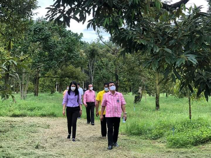 “พช.ระยอง” ขับเคลื่อนกิจกรรมการคัดสรรหมู่บ้านเศรษฐกิจพอเพียง “อยู่เย็น เป็นสุข” ดีเด่นระดับจังหวัด และกิจกรรมพัฒนาชุมชนดีเด่น ระดับจังหวัดประจำปี 2564 ณ อำเภอวังจันทร์