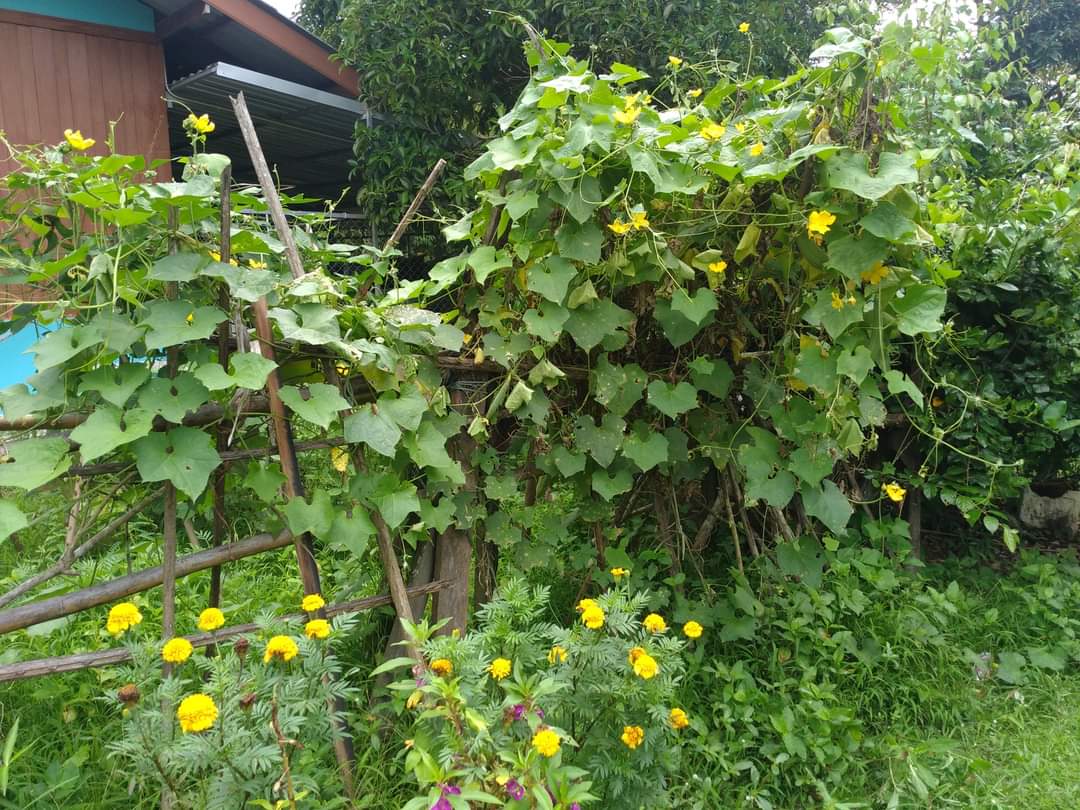 “พช.ระยอง” ขับเคลื่อนกิจกรรมการคัดสรรหมู่บ้านเศรษฐกิจพอเพียง “อยู่เย็น เป็นสุข” ดีเด่นระดับจังหวัด และกิจกรรมพัฒนาชุมชนดีเด่น ระดับจังหวัดประจำปี 2564 ณ อำเภอวังจันทร์