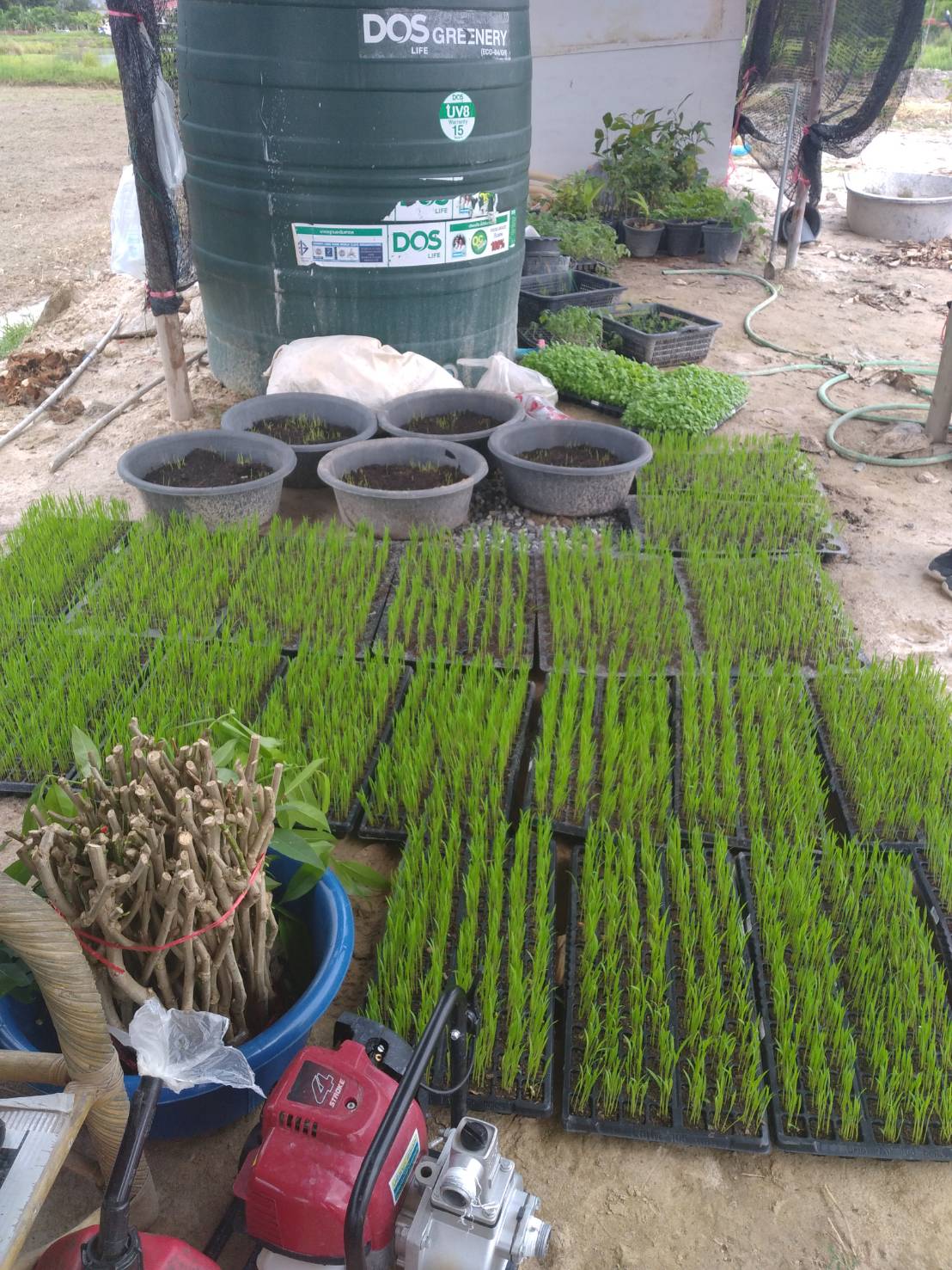 “พช.ระยอง” สนับสนุนการขับเคลื่อน”โครงการพัฒนาพื้นที่ต้นแบบทฤษฎีใหม่ประยุกต์สู่ โคก หนอง นา”