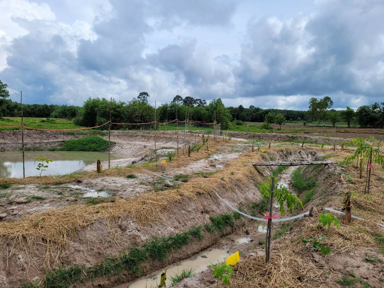 “พช.ระยอง” สนับสนุนการขับเคลื่อน”โครงการพัฒนาพื้นที่ต้นแบบทฤษฎีใหม่ประยุกต์สู่ โคก หนอง นา”