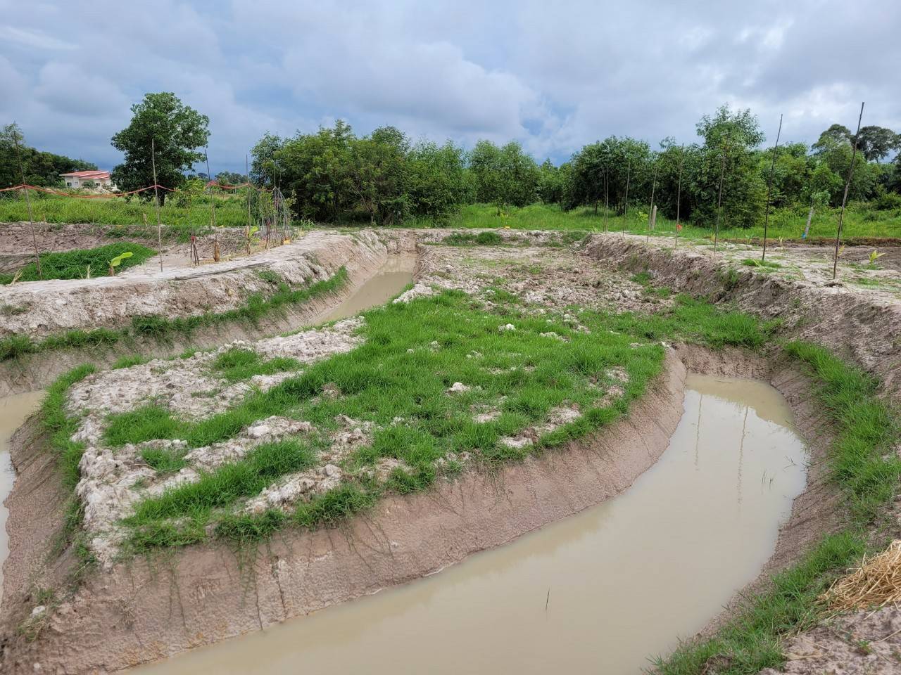 “พช.ระยอง” สนับสนุนการขับเคลื่อน”โครงการพัฒนาพื้นที่ต้นแบบทฤษฎีใหม่ประยุกต์สู่ โคก หนอง นา”