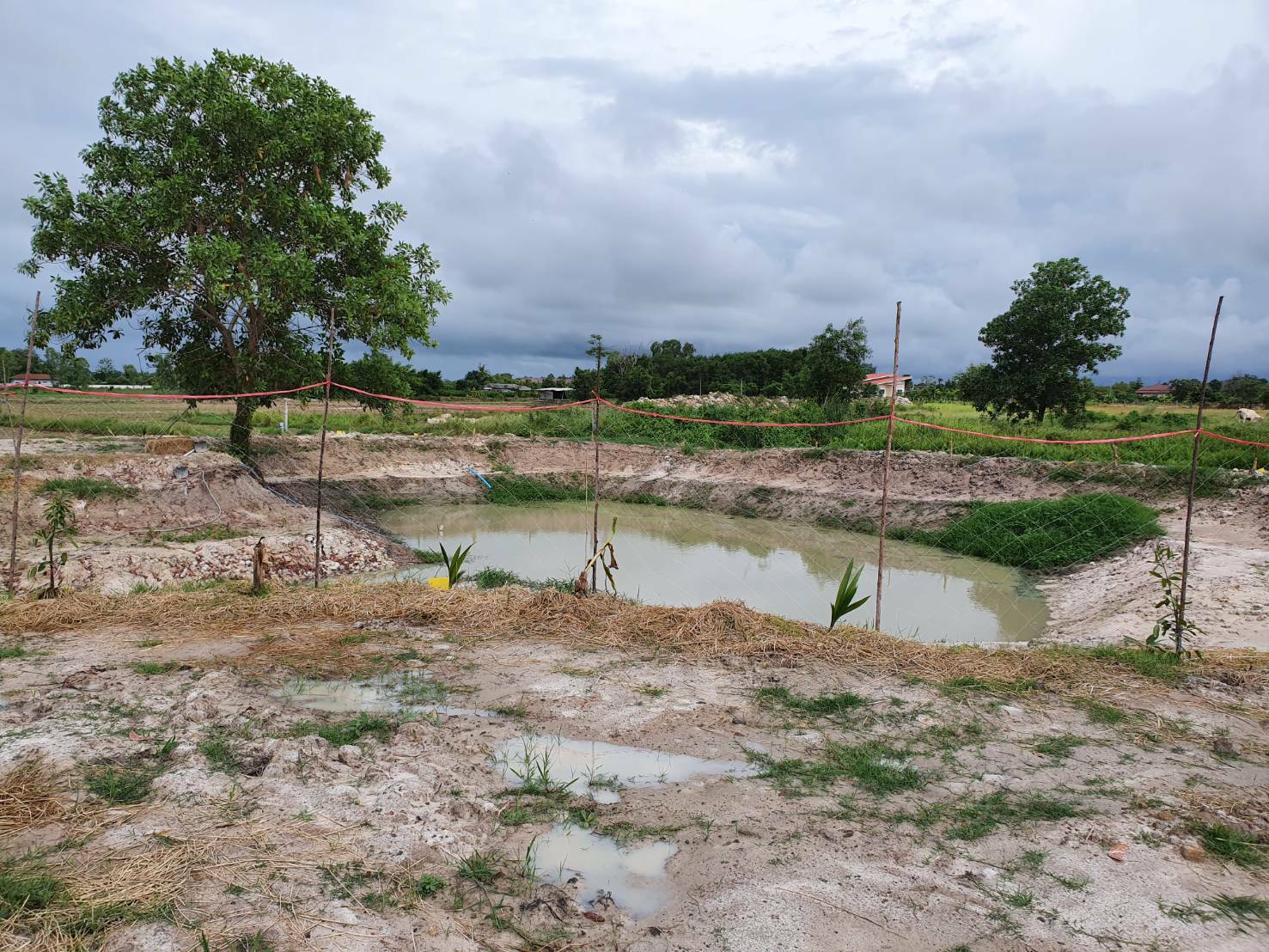 “พช.ระยอง” สนับสนุนการขับเคลื่อน”โครงการพัฒนาพื้นที่ต้นแบบทฤษฎีใหม่ประยุกต์สู่ โคก หนอง นา”
