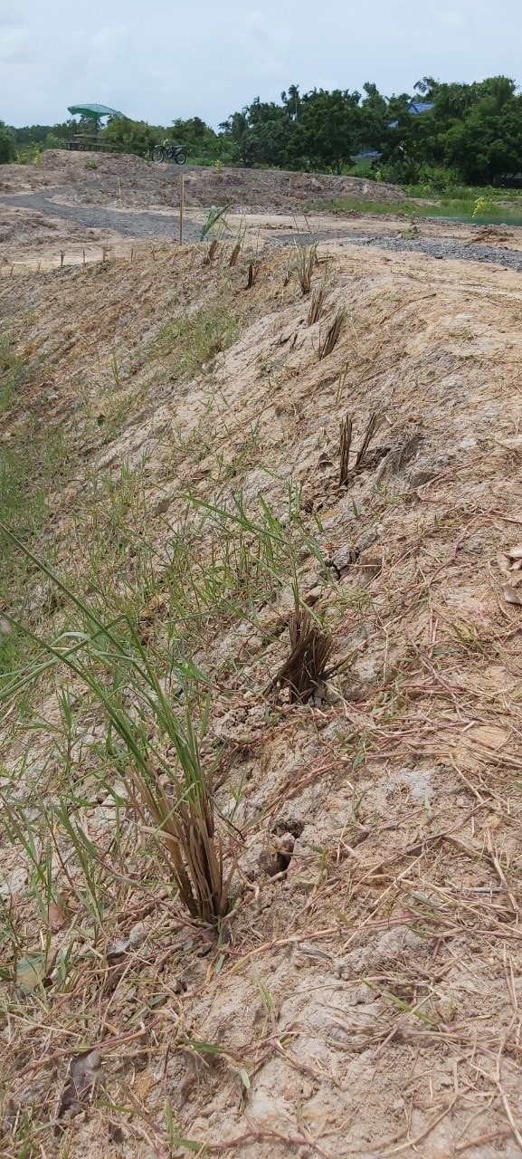 “พช.ระยอง” ร่วมขับเคลื่อนกิจกรรม “จิตอาสาพัฒนาชุมชนเอามื้อสามัคคี” เฉลิมพระเกียรติเนื่องในโอกาสมหามงคลเฉลิมพระชนมพรรษา พระบาทสมเด็จพระปรเมนทรรามาธิบดี ศรีสินทรมหาวชิราลงกรณ พระวชิรเกล้าเจ้าอยู่หัว