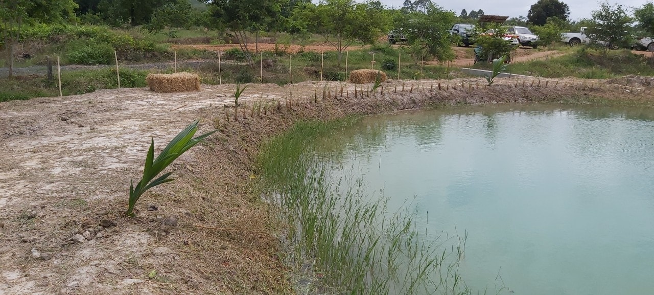 “พช.ระยอง” ร่วมขับเคลื่อนกิจกรรม “จิตอาสาพัฒนาชุมชนเอามื้อสามัคคี” เฉลิมพระเกียรติเนื่องในโอกาสมหามงคลเฉลิมพระชนมพรรษา พระบาทสมเด็จพระปรเมนทรรามาธิบดี ศรีสินทรมหาวชิราลงกรณ พระวชิรเกล้าเจ้าอยู่หัว