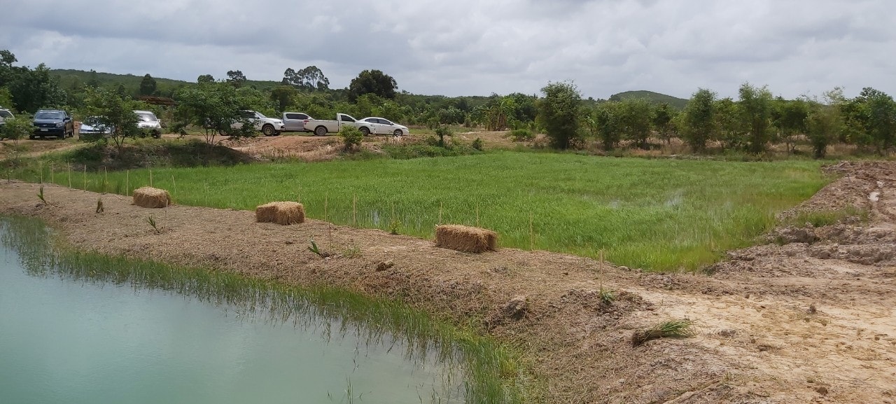 “พช.ระยอง” ร่วมขับเคลื่อนกิจกรรม “จิตอาสาพัฒนาชุมชนเอามื้อสามัคคี” เฉลิมพระเกียรติเนื่องในโอกาสมหามงคลเฉลิมพระชนมพรรษา พระบาทสมเด็จพระปรเมนทรรามาธิบดี ศรีสินทรมหาวชิราลงกรณ พระวชิรเกล้าเจ้าอยู่หัว