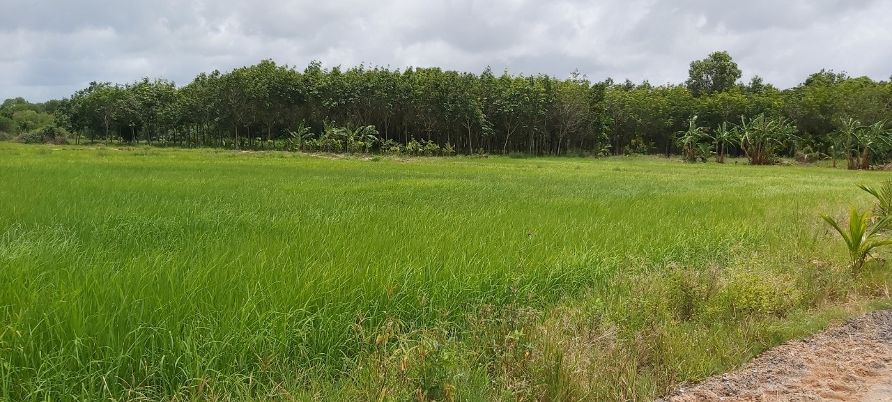 “พช.ระยอง” ร่วมขับเคลื่อนกิจกรรม “จิตอาสาพัฒนาชุมชนเอามื้อสามัคคี” เฉลิมพระเกียรติเนื่องในโอกาสมหามงคลเฉลิมพระชนมพรรษา พระบาทสมเด็จพระปรเมนทรรามาธิบดี ศรีสินทรมหาวชิราลงกรณ พระวชิรเกล้าเจ้าอยู่หัว