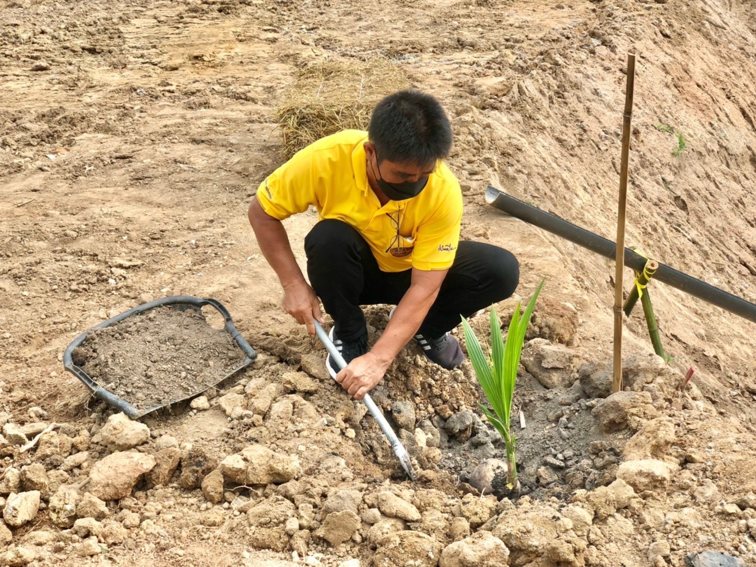 “พช.ระยอง” ขับเคลื่อนกิจกรรม จิตอาสาพัฒนาชุมชน เอามื้อสามัคคี “โคก หนอง นา”