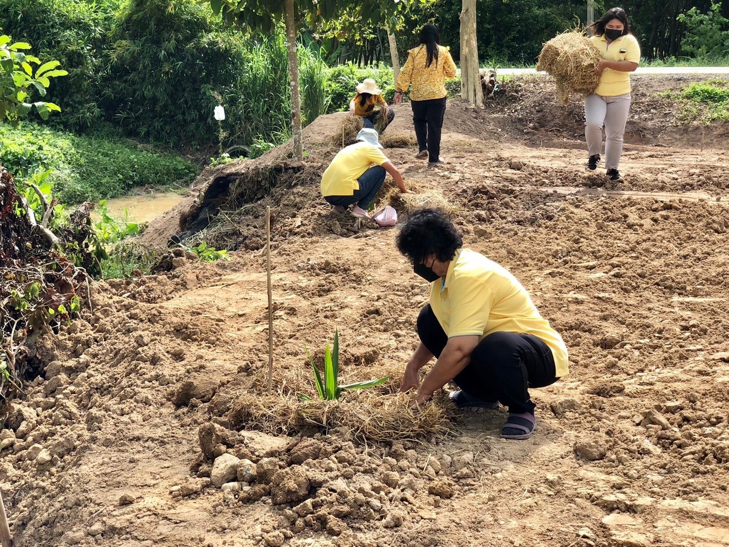 “พช.ระยอง” ขับเคลื่อนกิจกรรม จิตอาสาพัฒนาชุมชน เอามื้อสามัคคี “โคก หนอง นา”